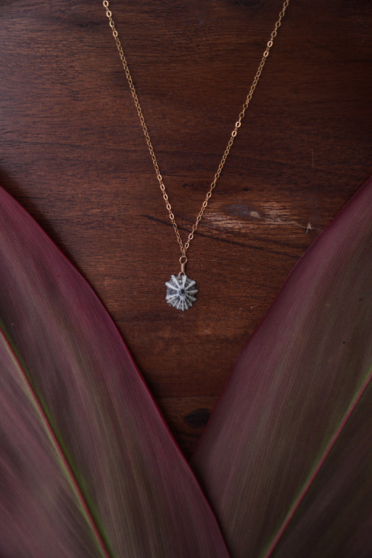 OG `Opihi `awa Necklace (GOLD)