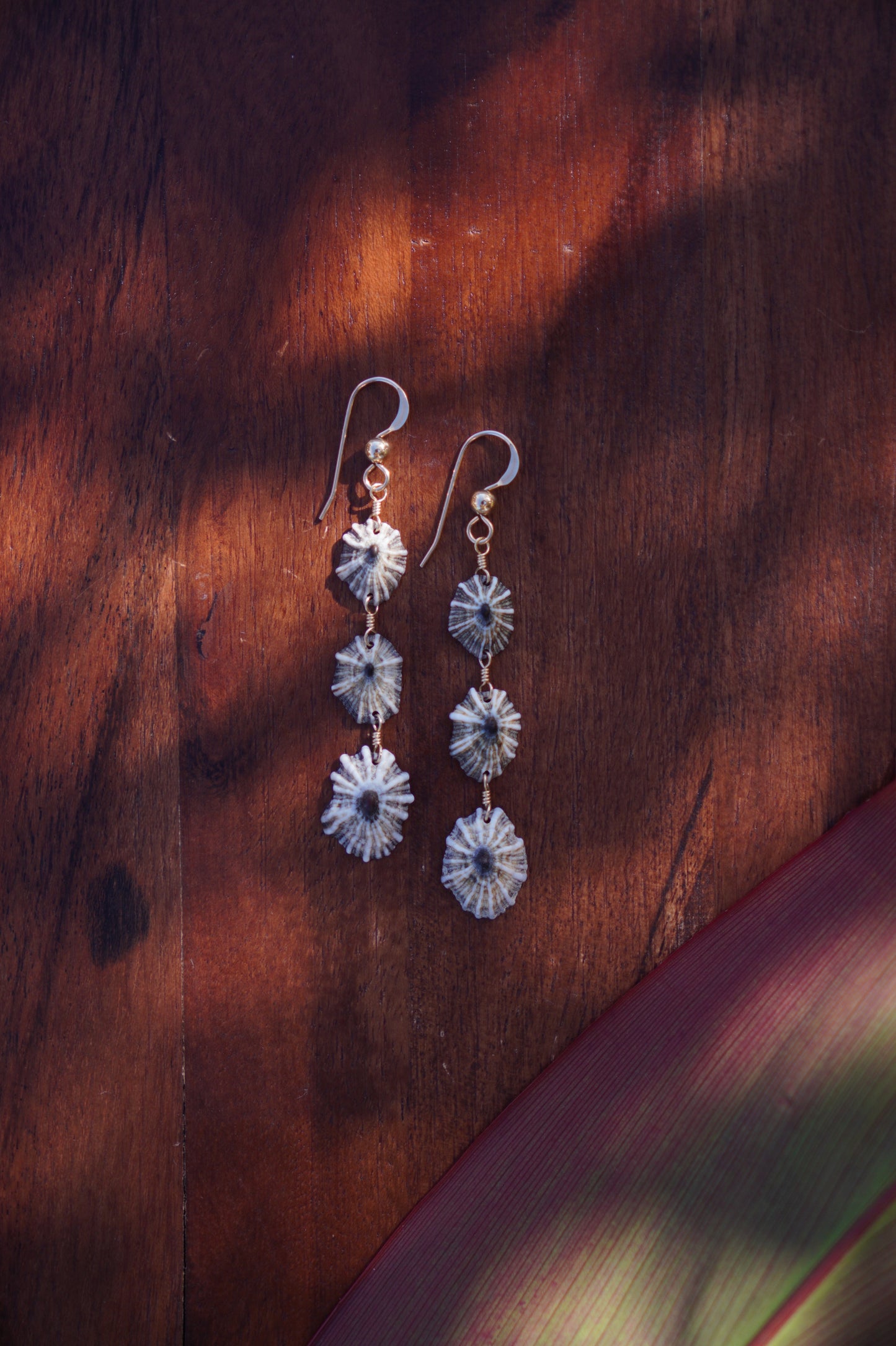 Endless 'Opihi 'awa Earrings