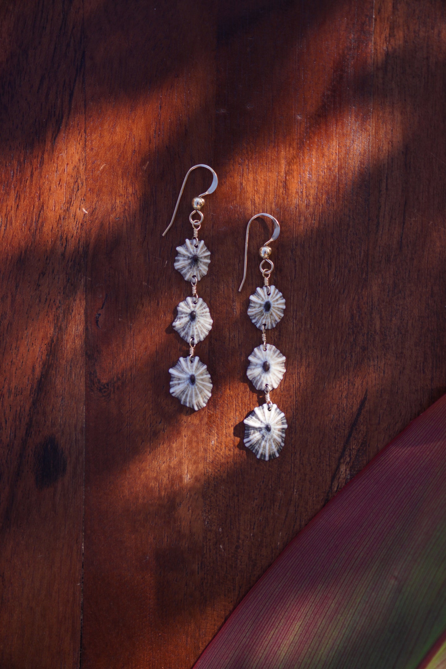 Endless 'Opihi 'awa Earrings