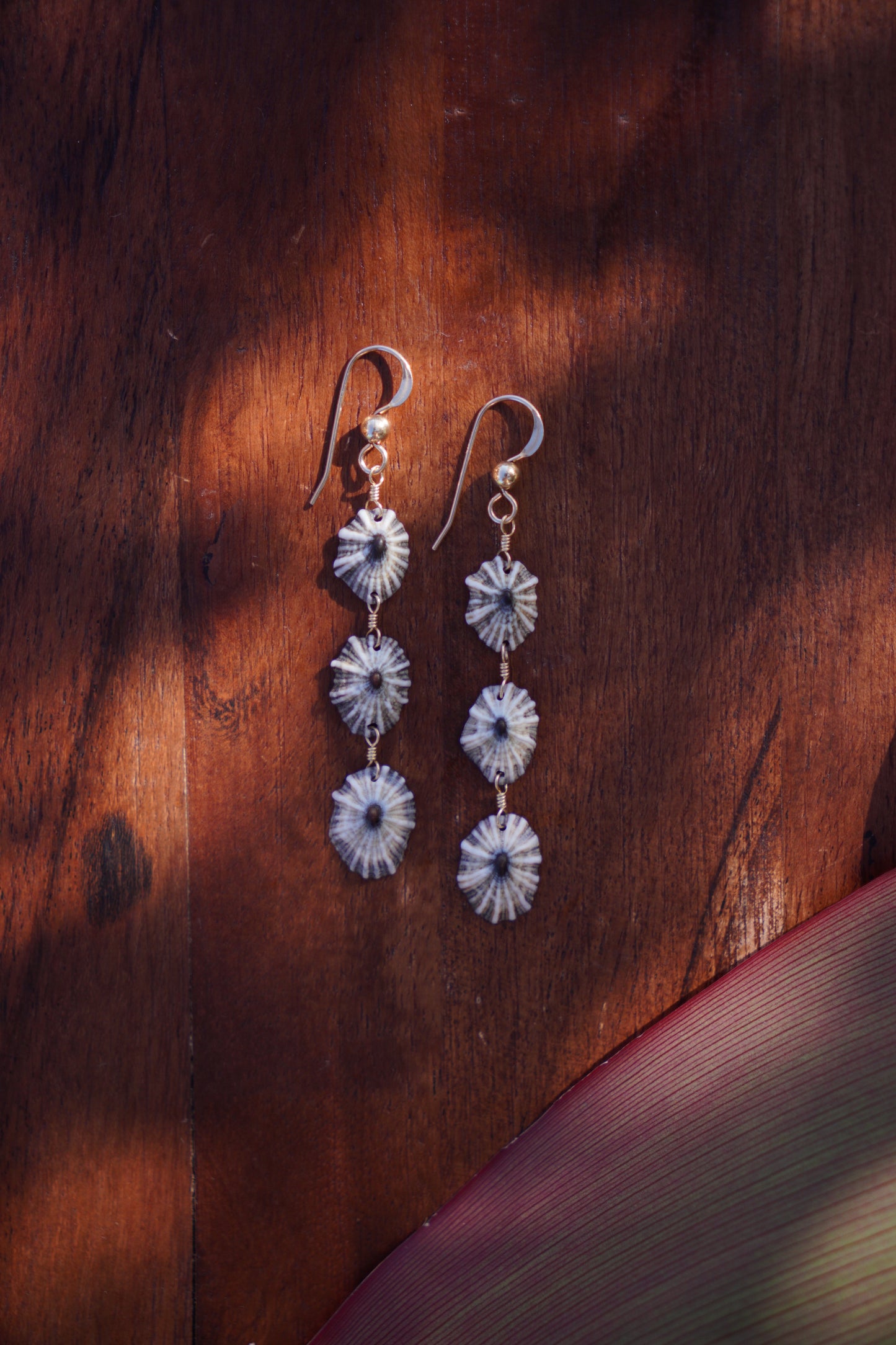 Endless 'Opihi 'awa Earrings