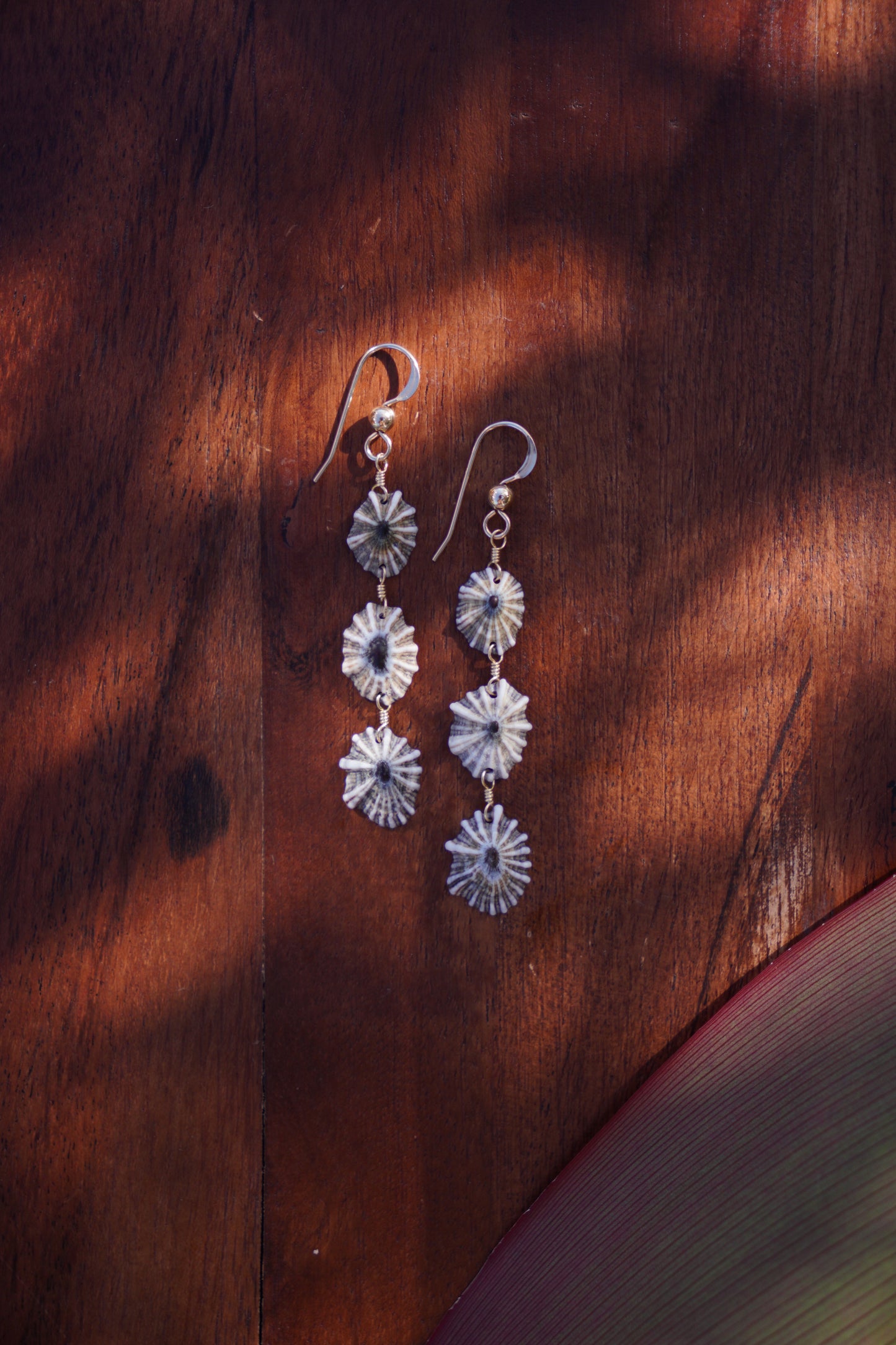 Endless 'Opihi 'awa Earrings