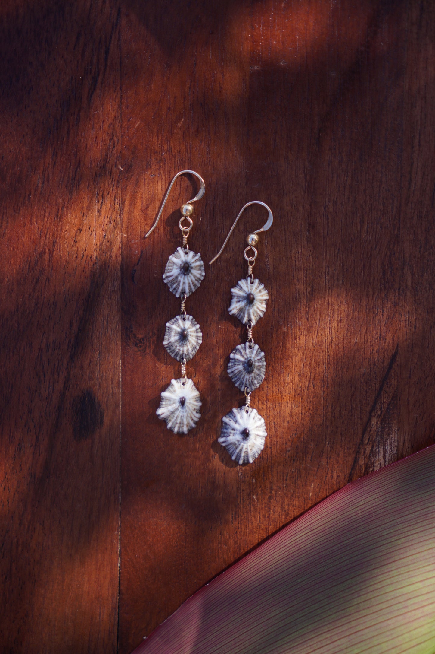 Endless 'Opihi 'awa Earrings