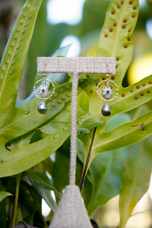 'Opihi 'awa and Tahitian Pearl Earrings