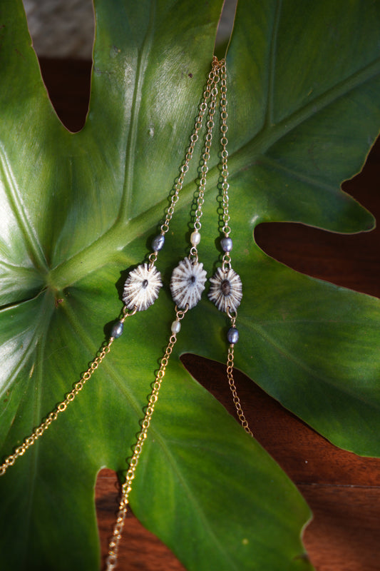 Simple 'Opihi 'awa Bracelet