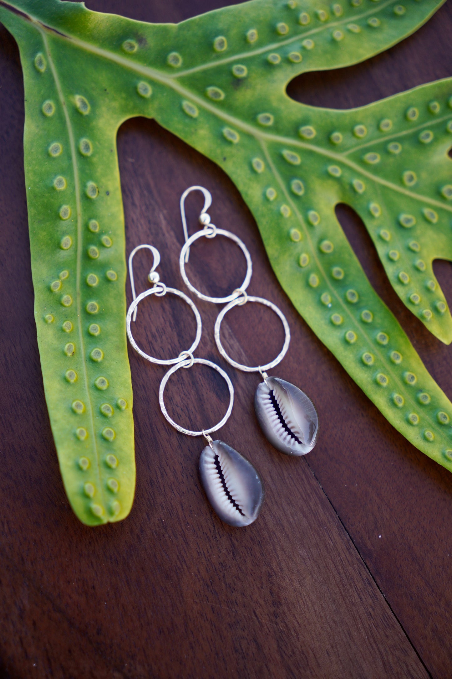 Double Hoop Cowrie Earrings