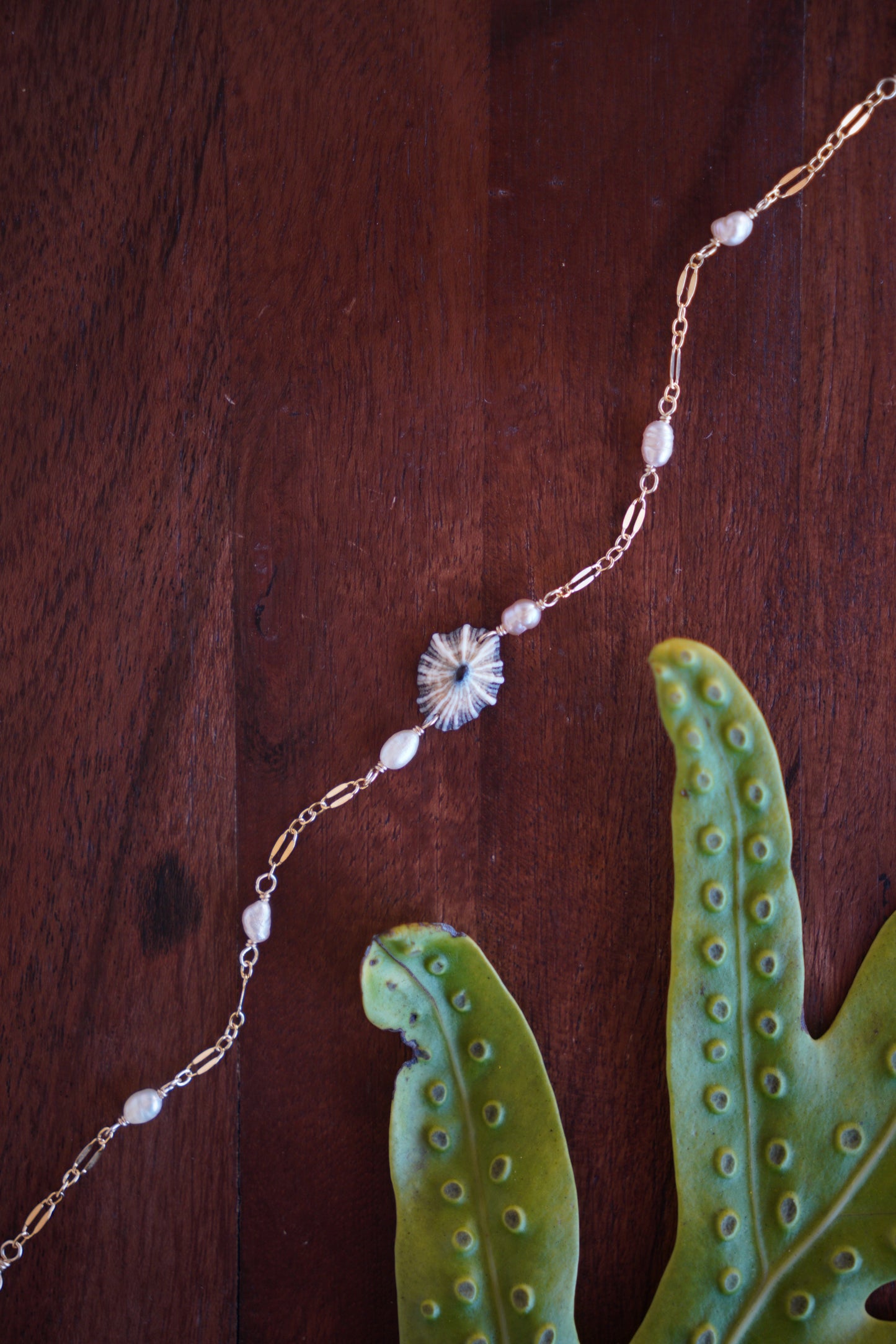 Lovely 'Opihi 'awa Bracelets