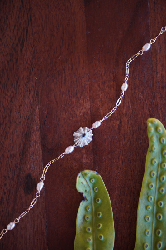 Lovely 'Opihi 'awa Bracelets