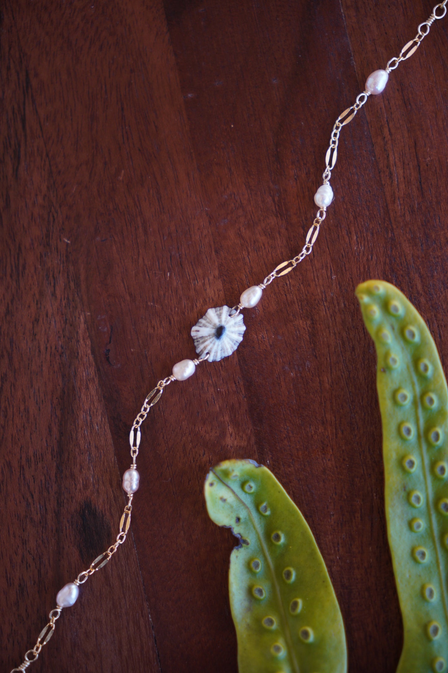 Lovely 'Opihi 'awa Bracelets