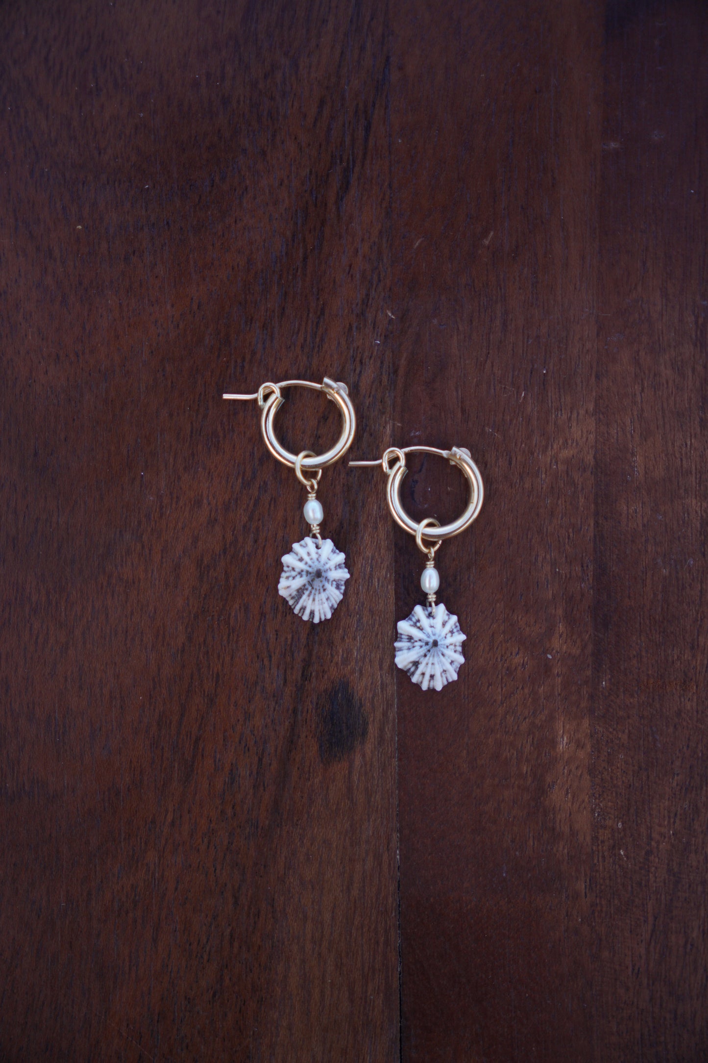 `Opihi `awa Huggie Hoops