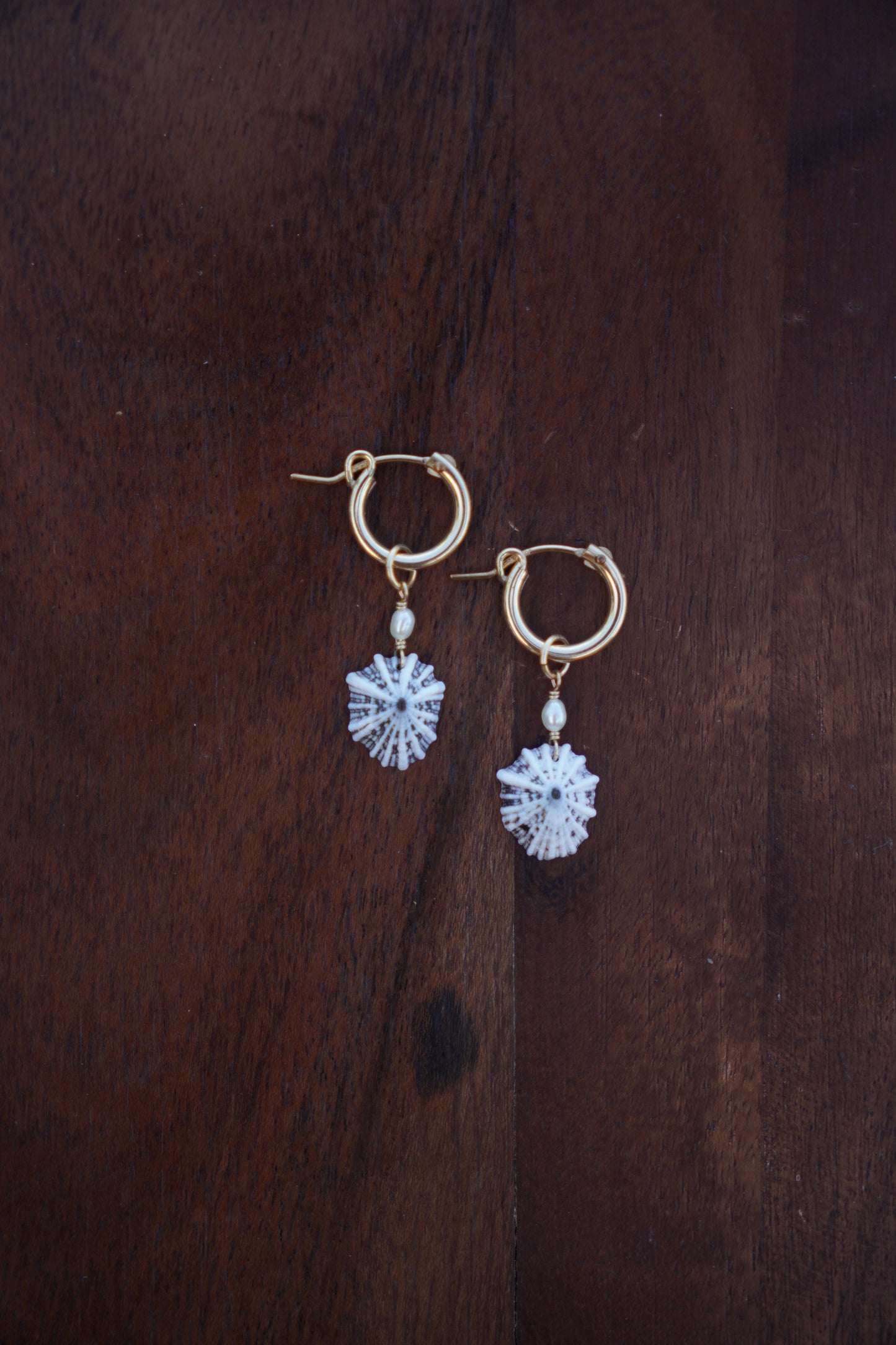 `Opihi `awa Huggie Hoops