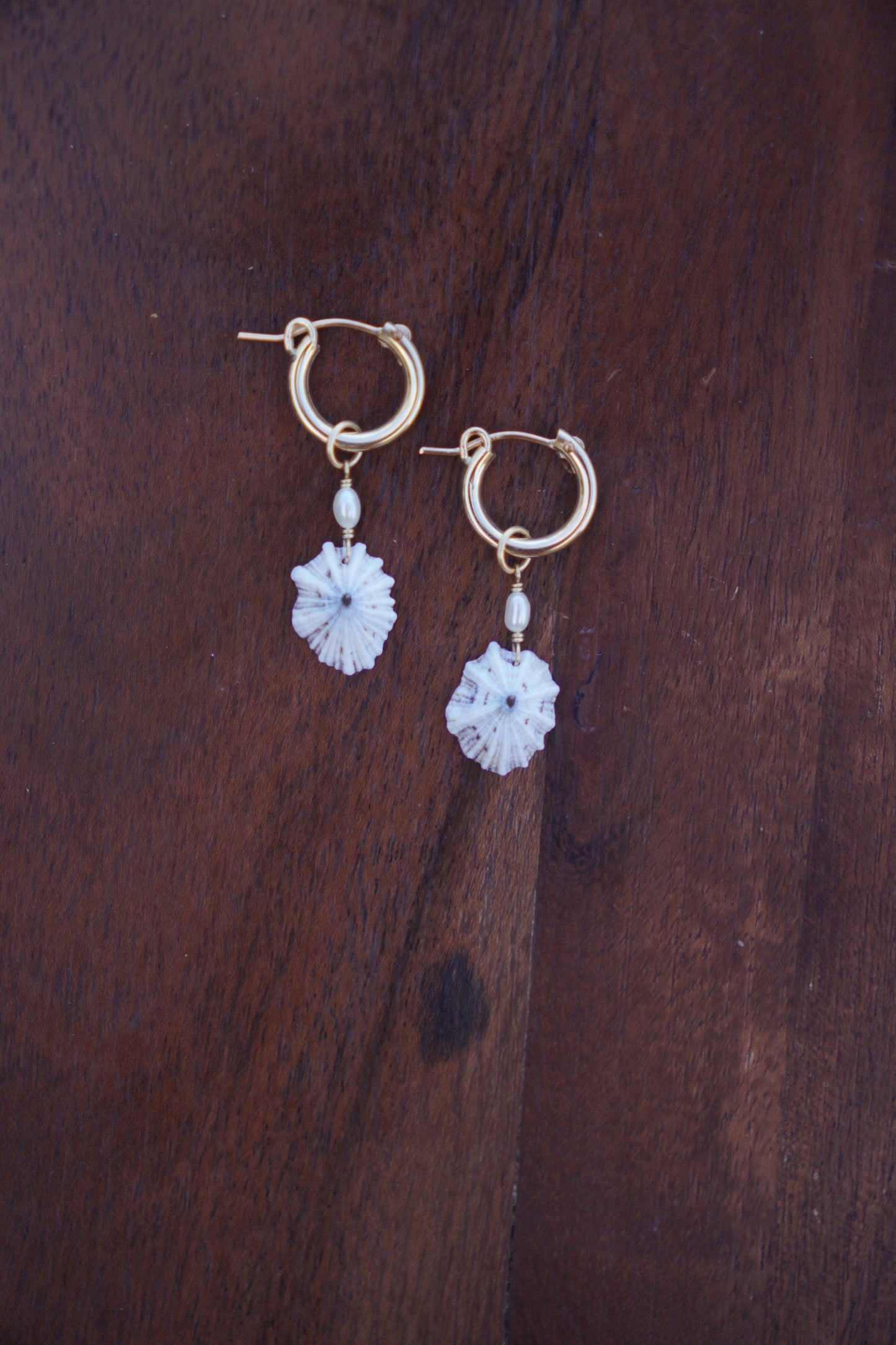 `Opihi `awa Huggie Hoops