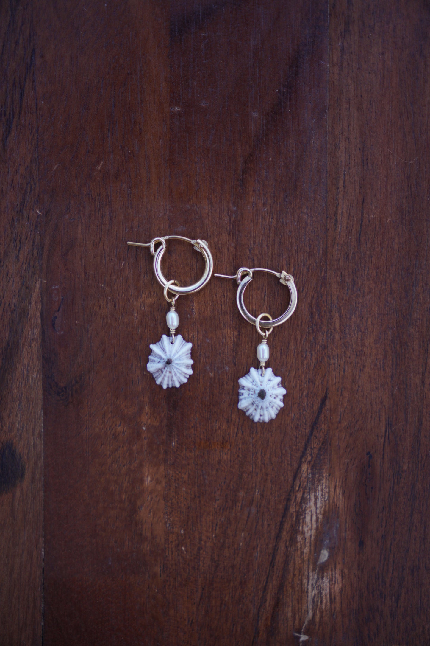 `Opihi `awa Huggie Hoops