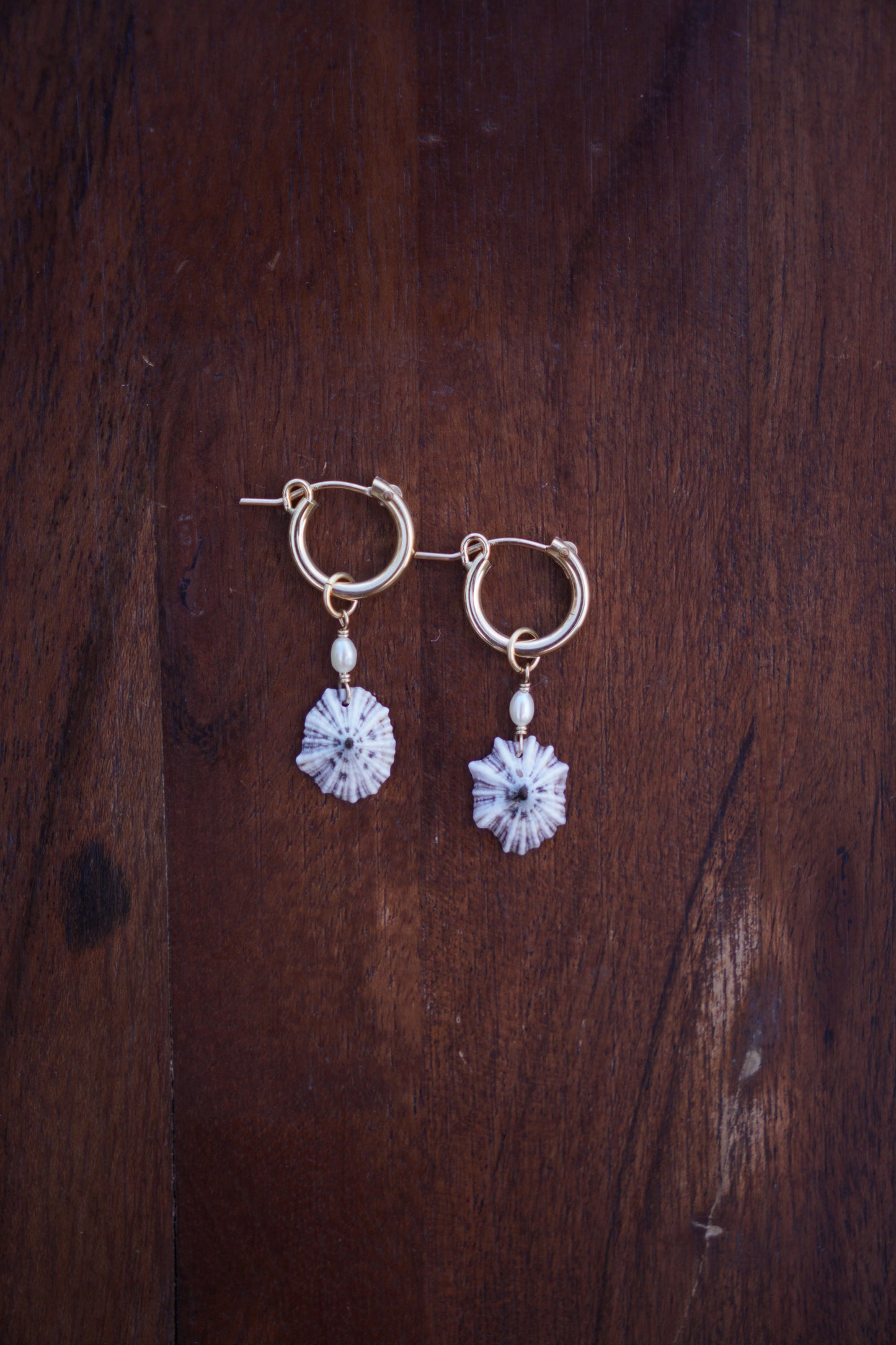 `Opihi `awa Huggie Hoops