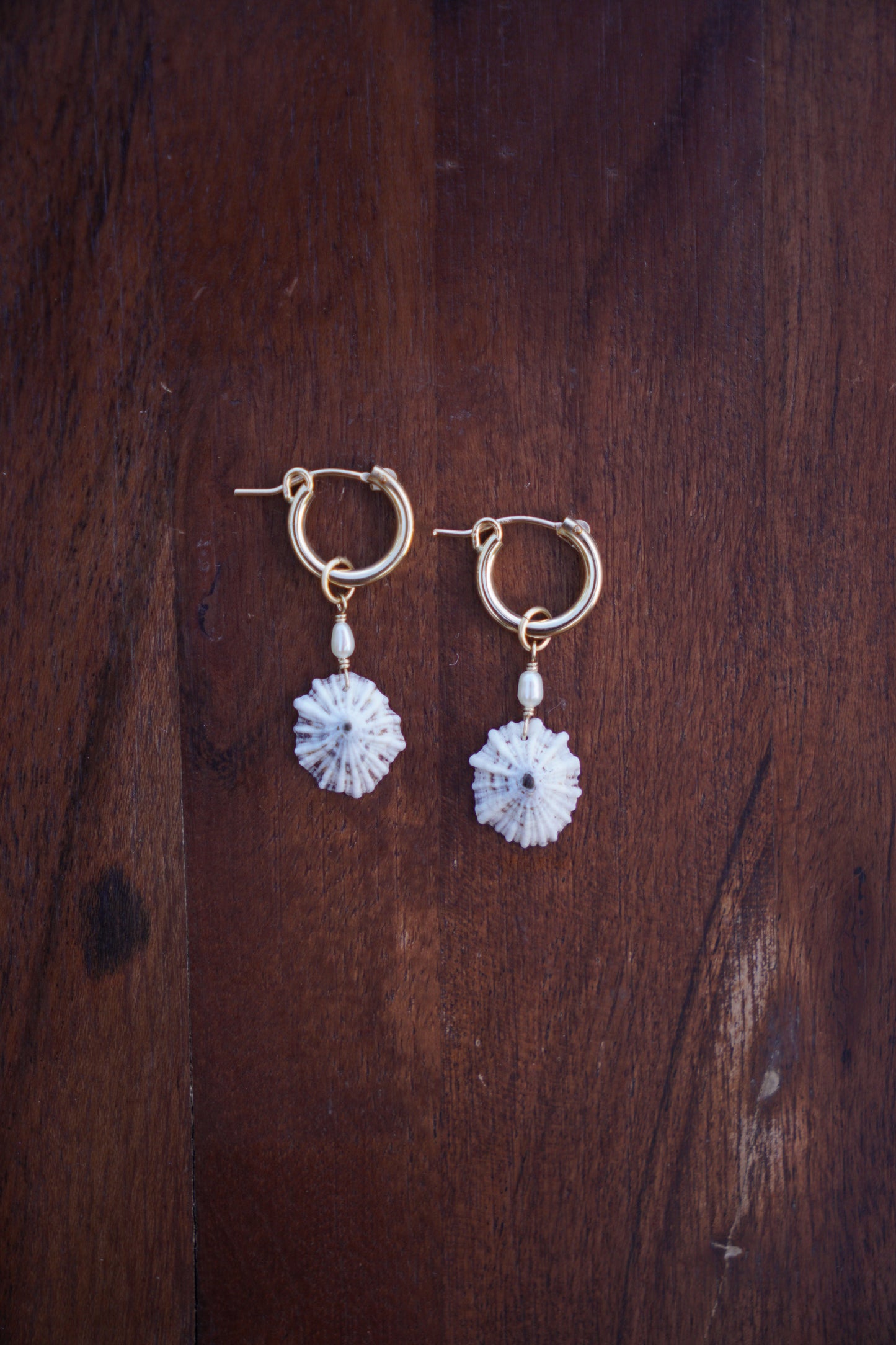 `Opihi `awa Huggie Hoops