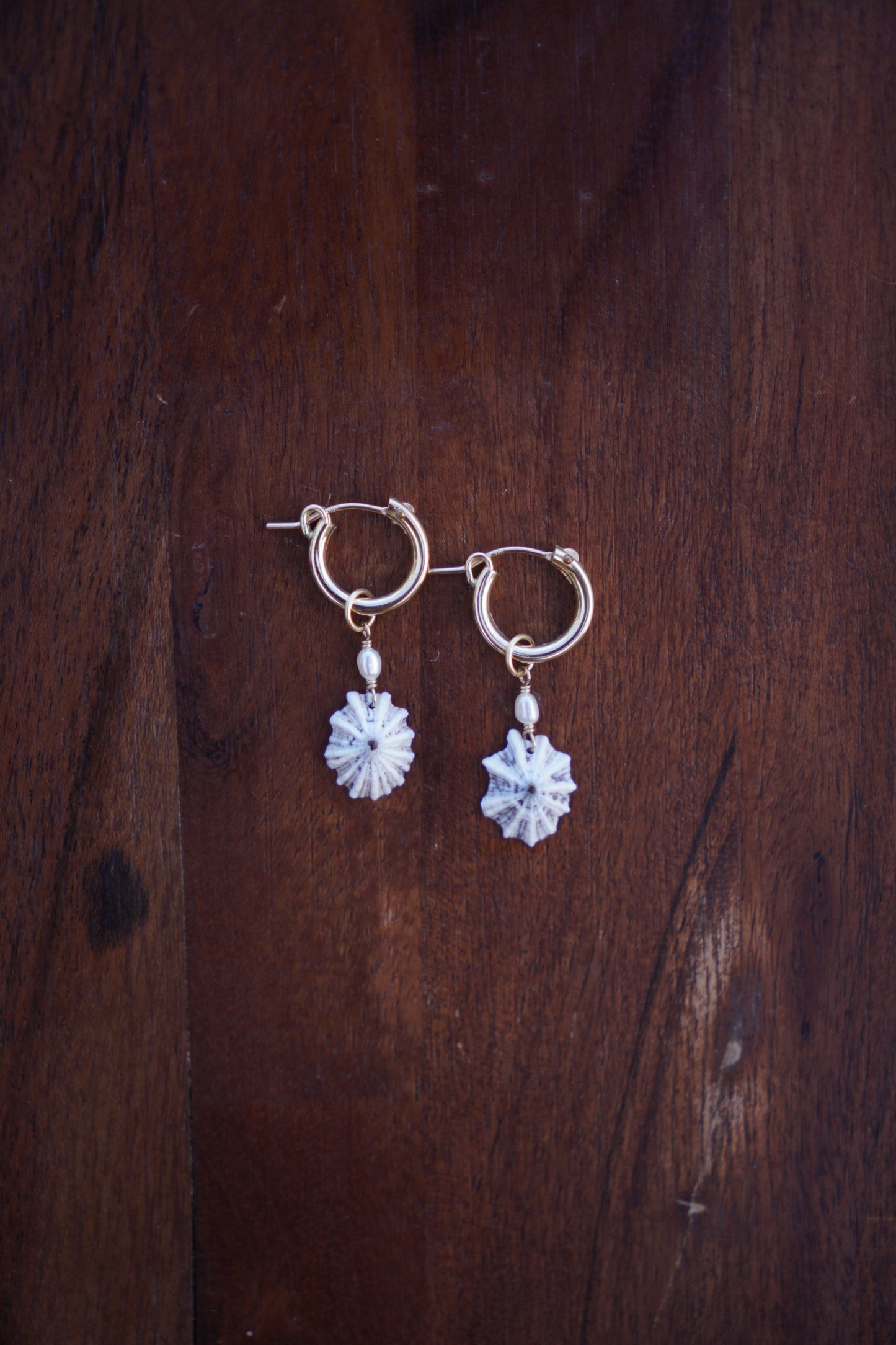`Opihi `awa Huggie Hoops