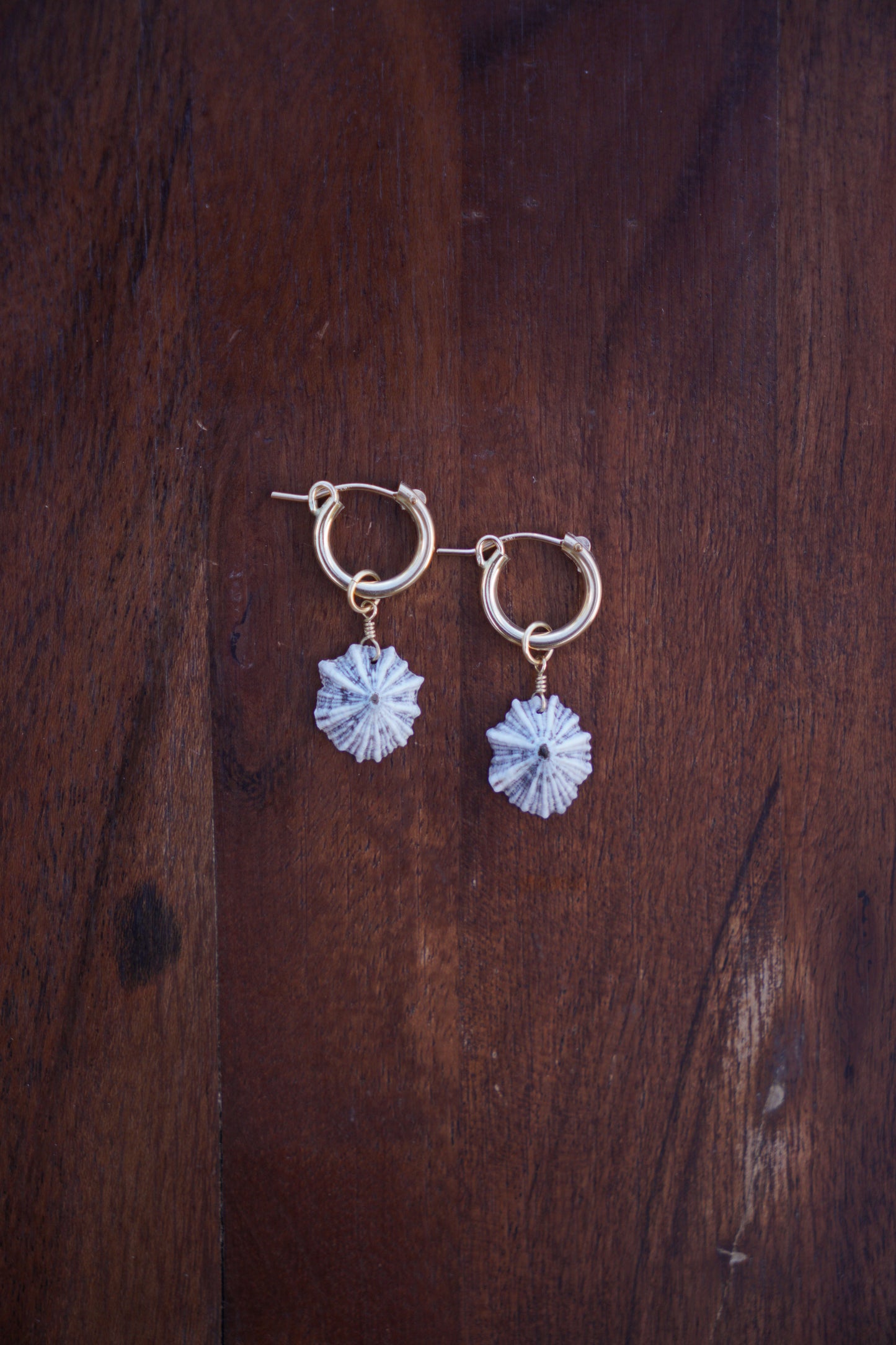 `Opihi `awa Huggie Hoops