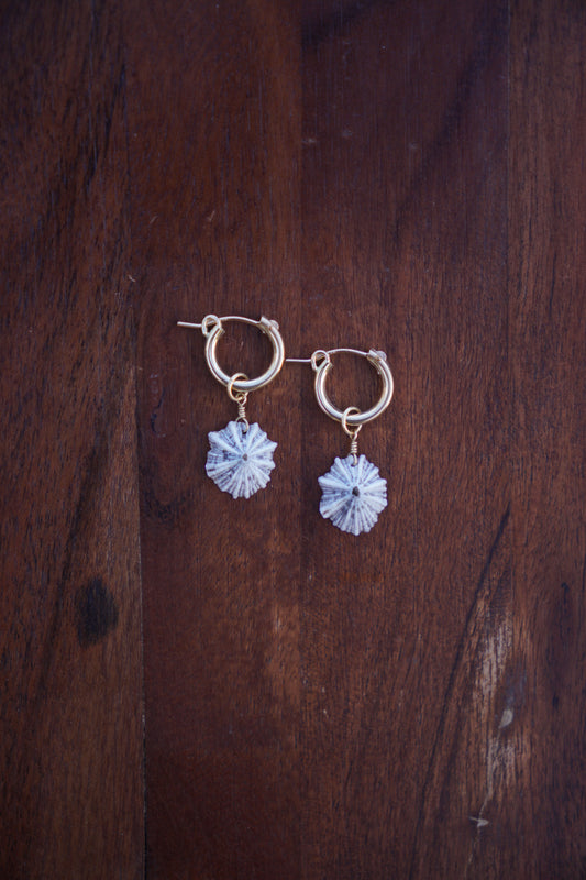 `Opihi `awa Huggie Hoops