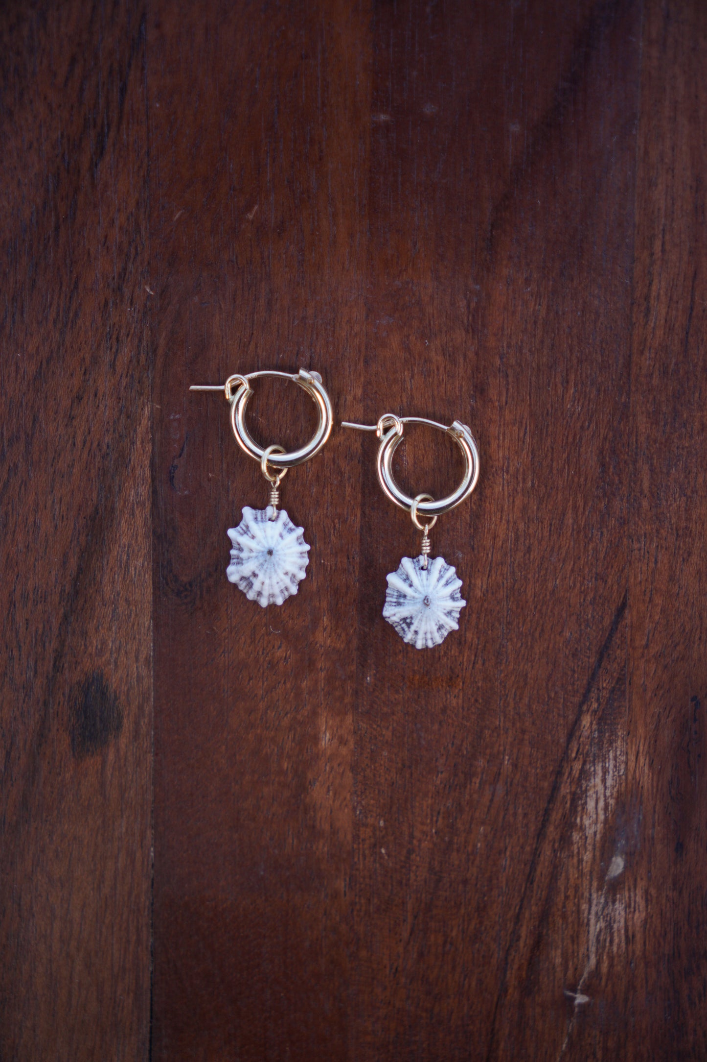 `Opihi `awa Huggie Hoops
