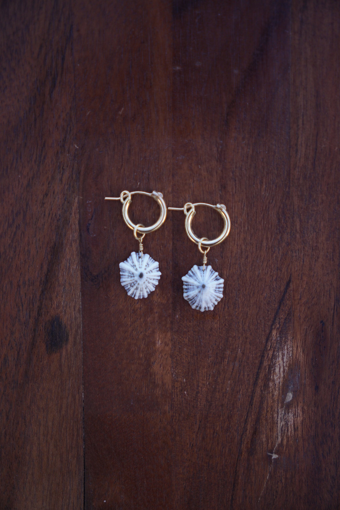 `Opihi `awa Huggie Hoops