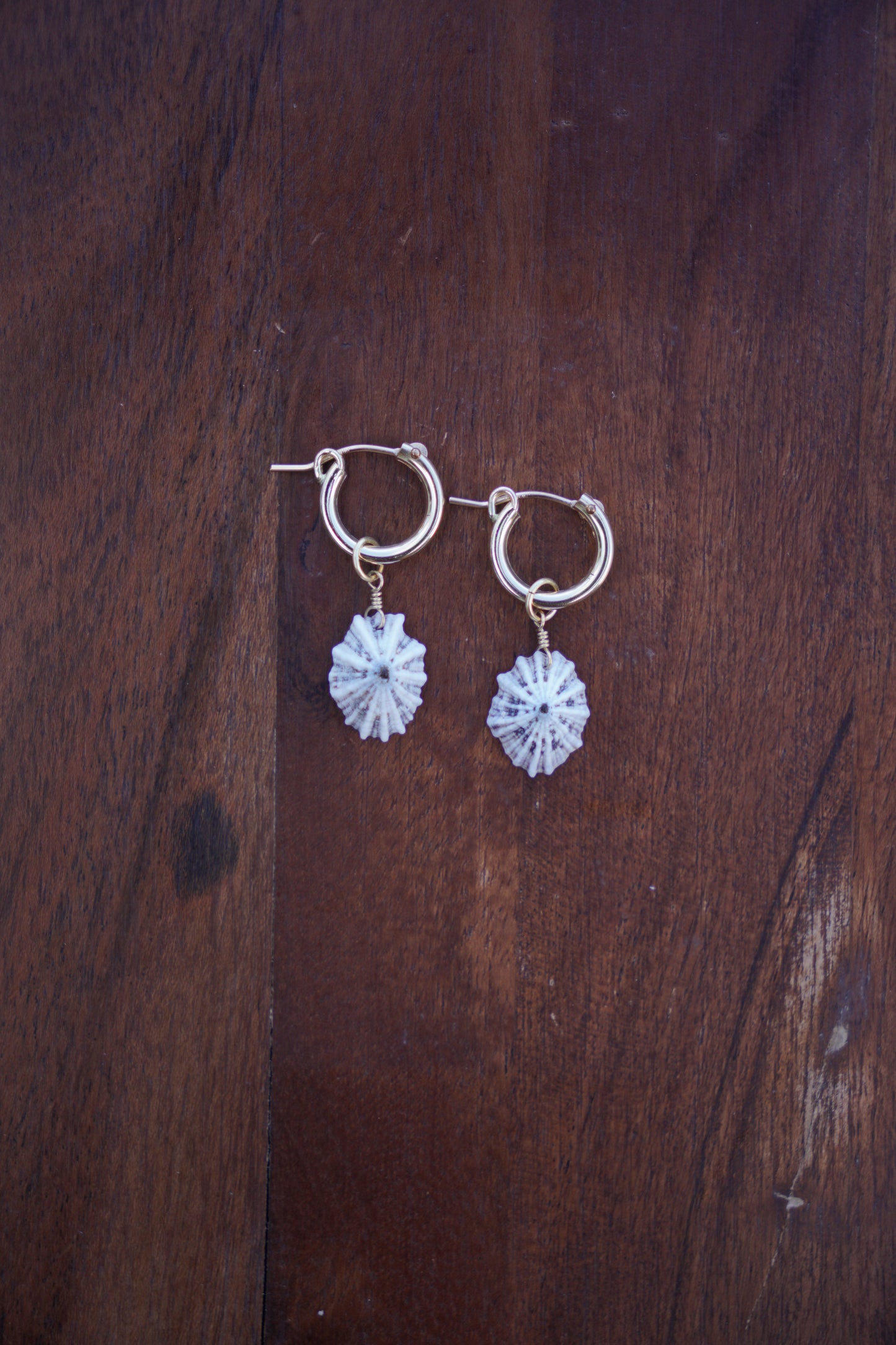 `Opihi `awa Huggie Hoops