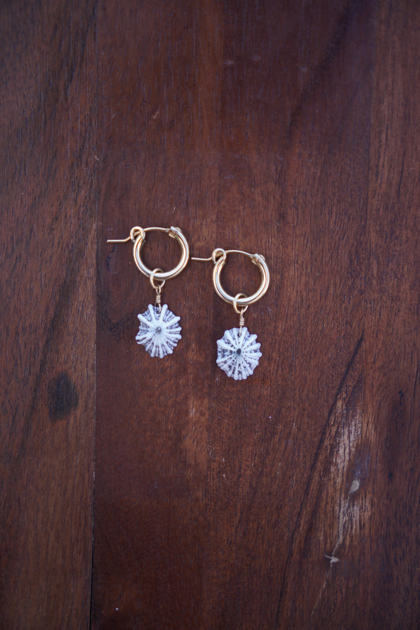 `Opihi `awa Huggie Hoops