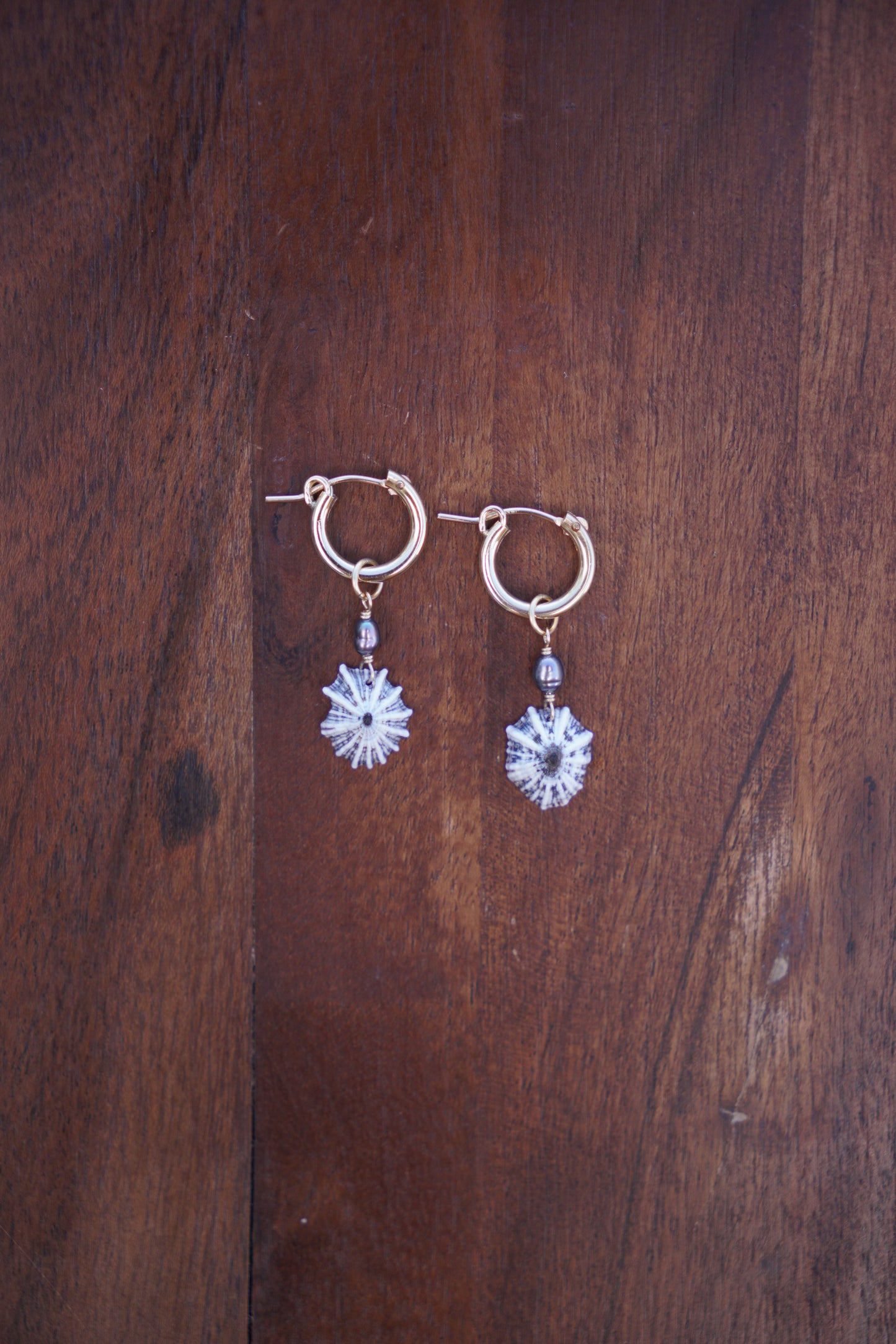 `Opihi `awa Huggie Hoops