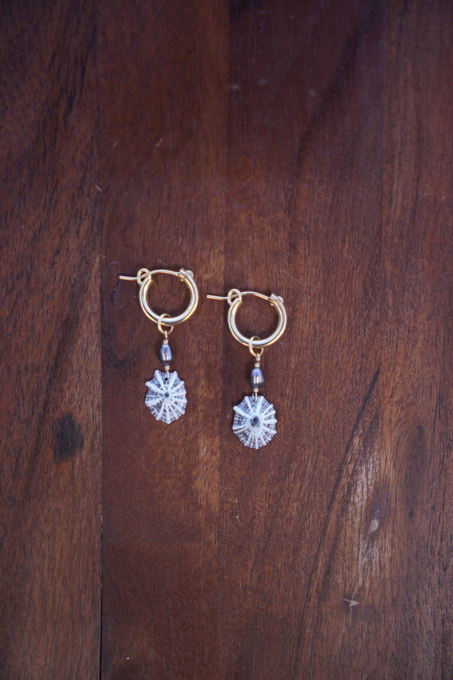 `Opihi `awa Huggie Hoops