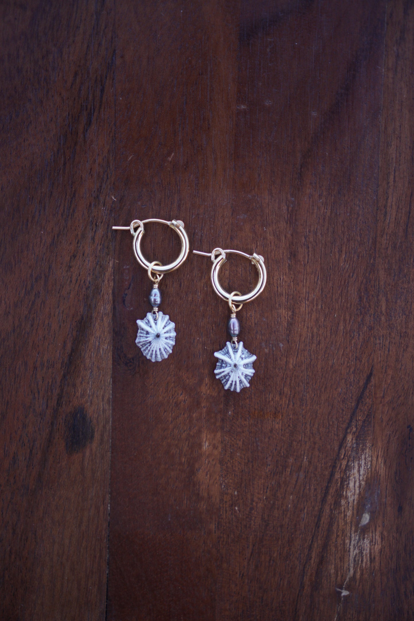 `Opihi `awa Huggie Hoops