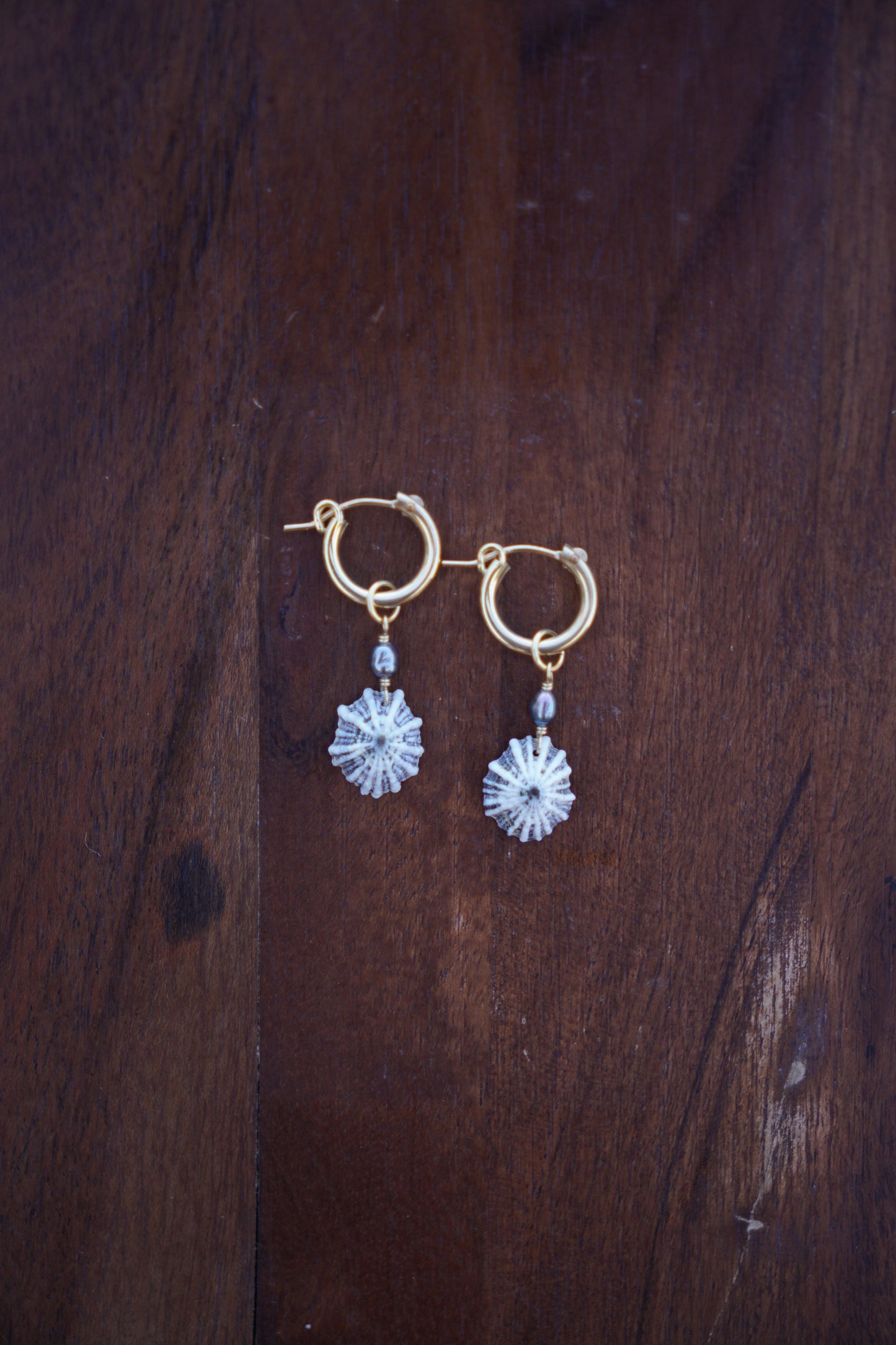 `Opihi `awa Huggie Hoops