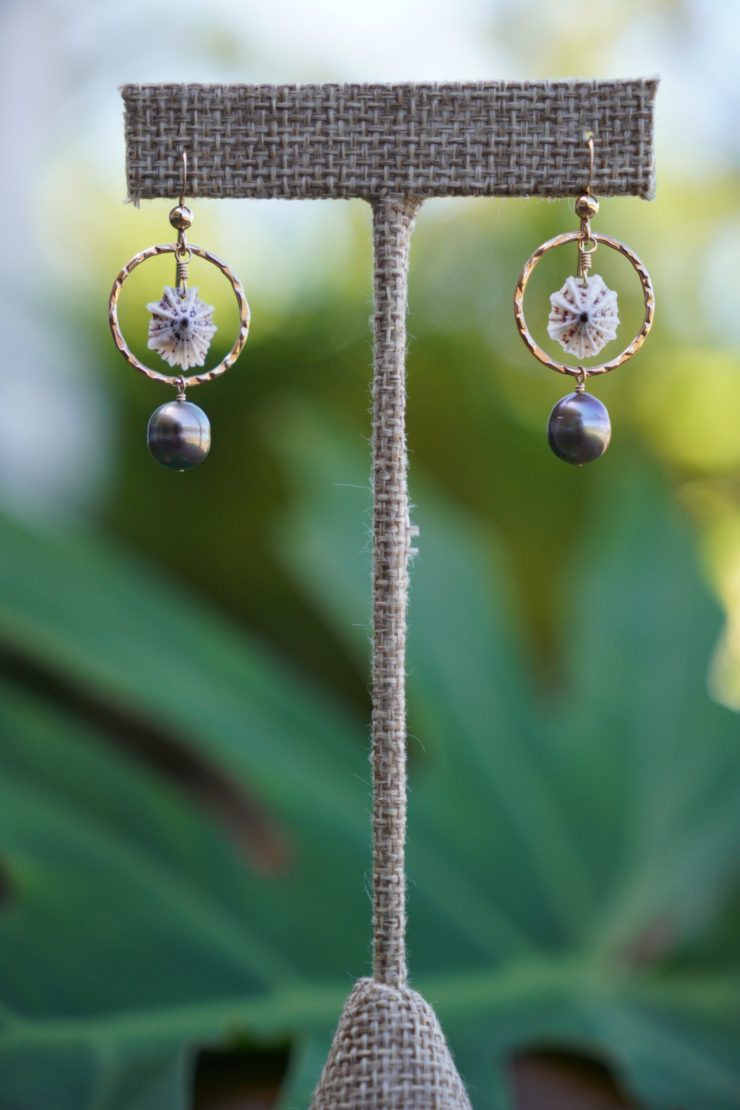 'Opihi 'awa and Tahitian Pearl Earrings