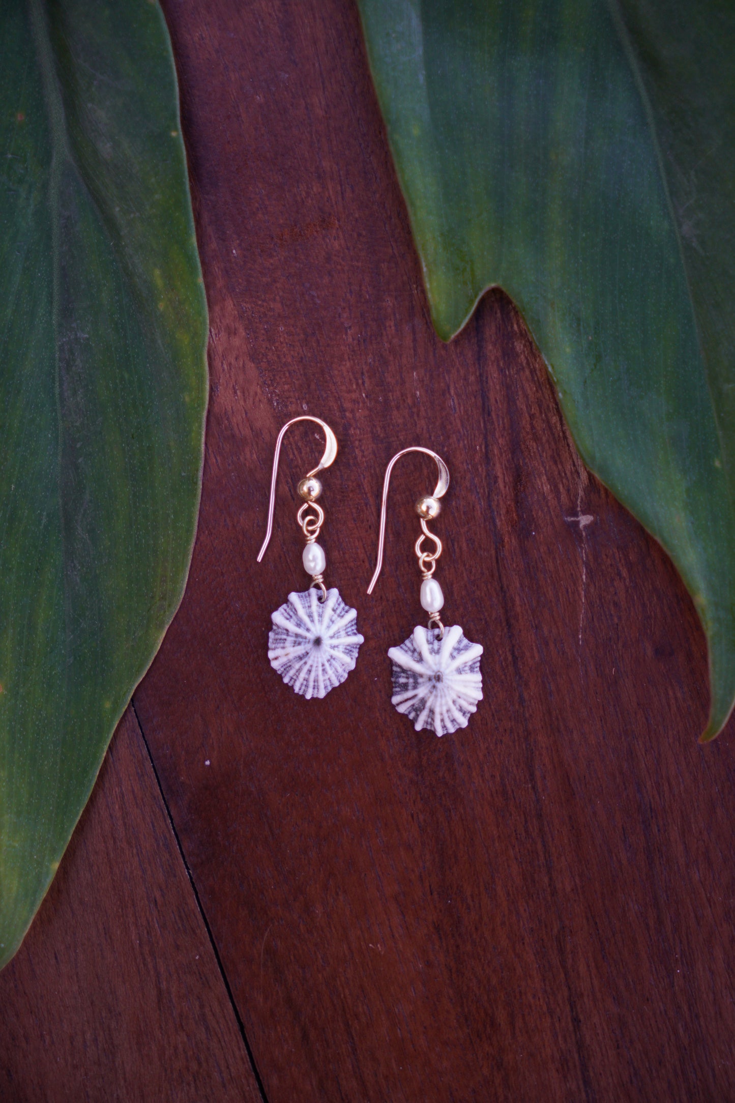 Simple `Opihi `awa Earrings