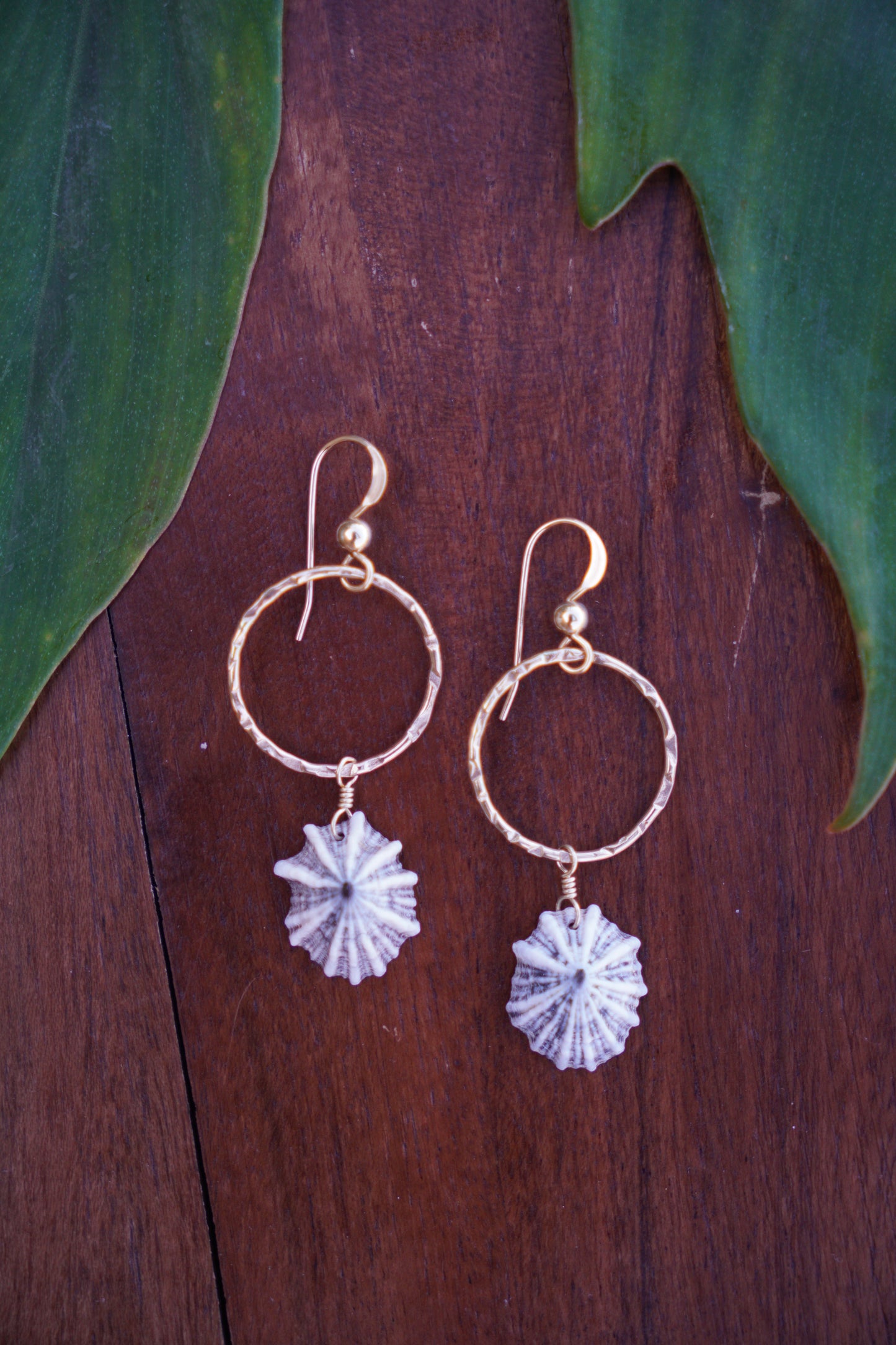 `Opihi `awa Brianna Earrings