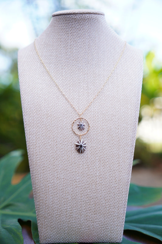 `Opihi `awa Cluster Necklace