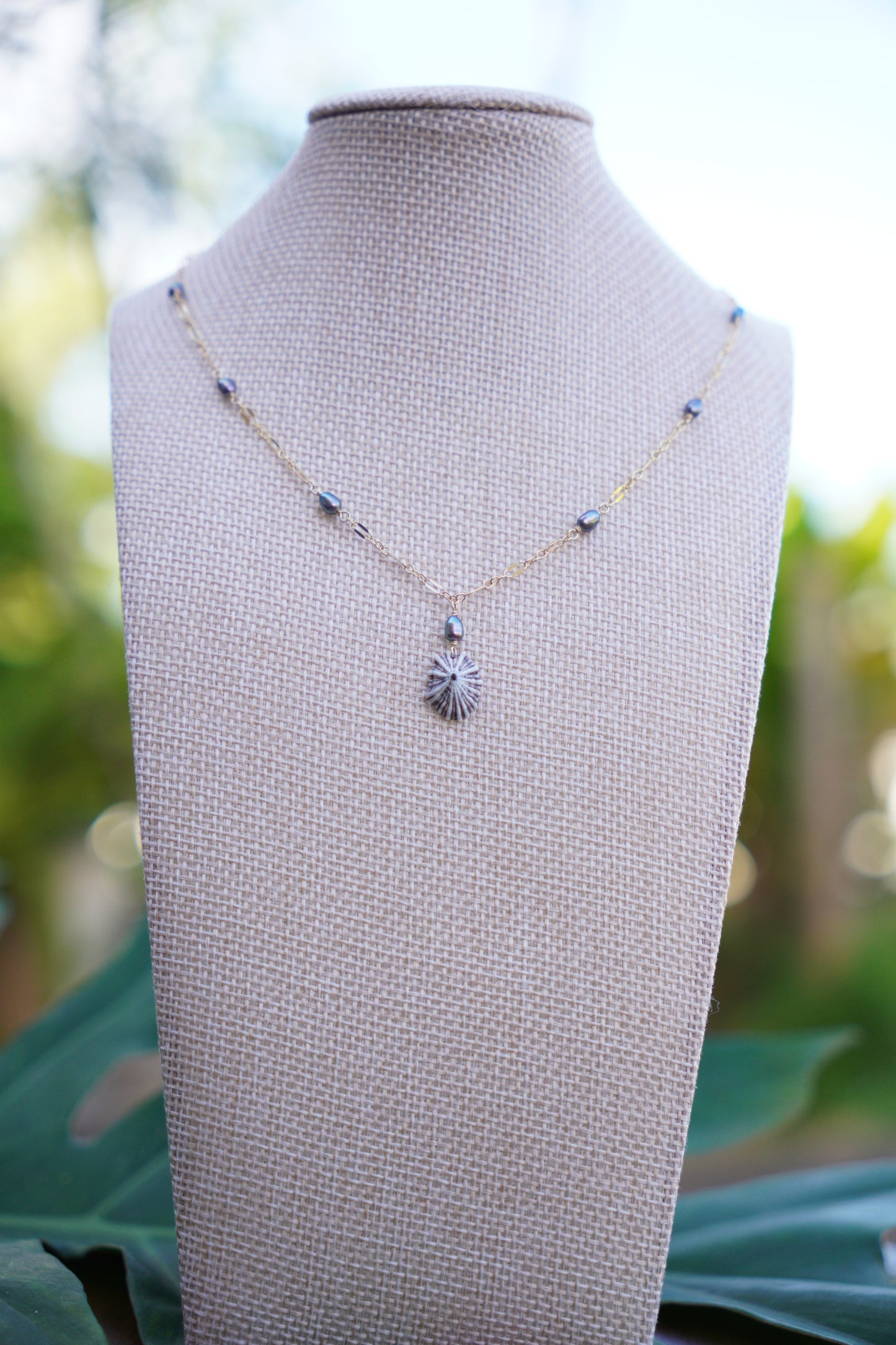 Fancy `Opihi `awa Necklace
