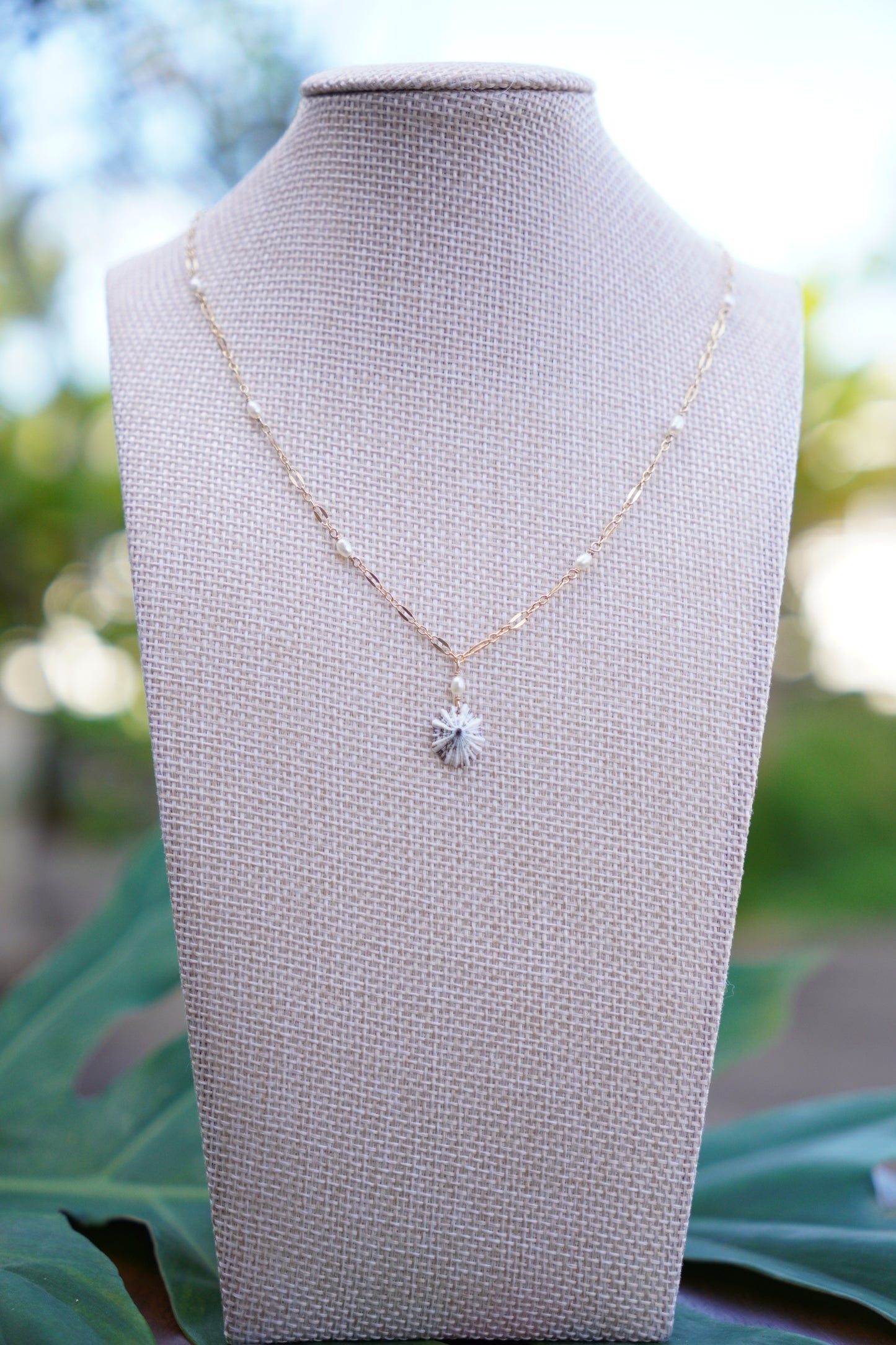 Fancy `Opihi `awa Necklace