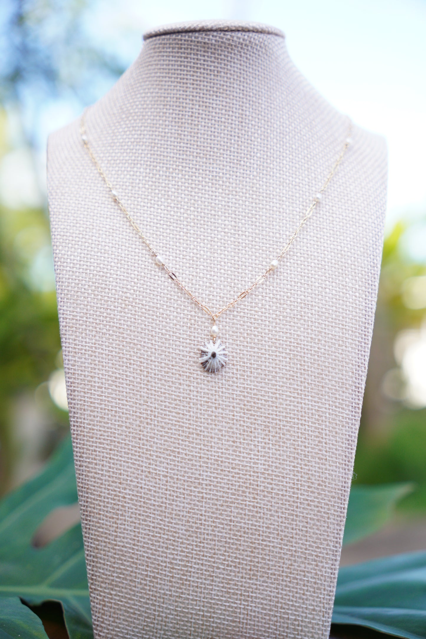 Fancy `Opihi `awa Necklace