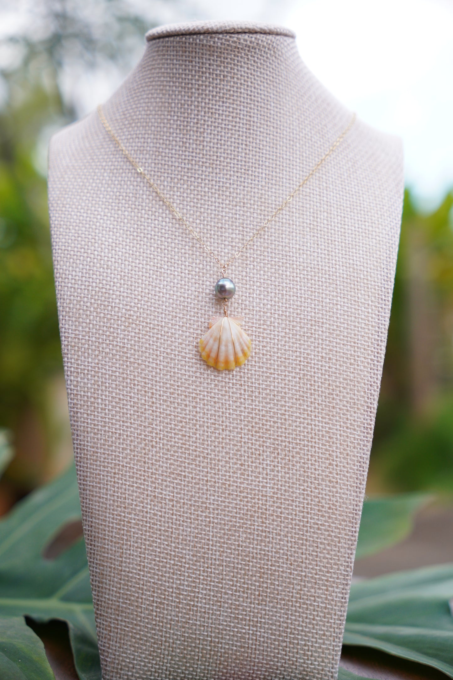 Simple Sunrise Shell Necklaces
