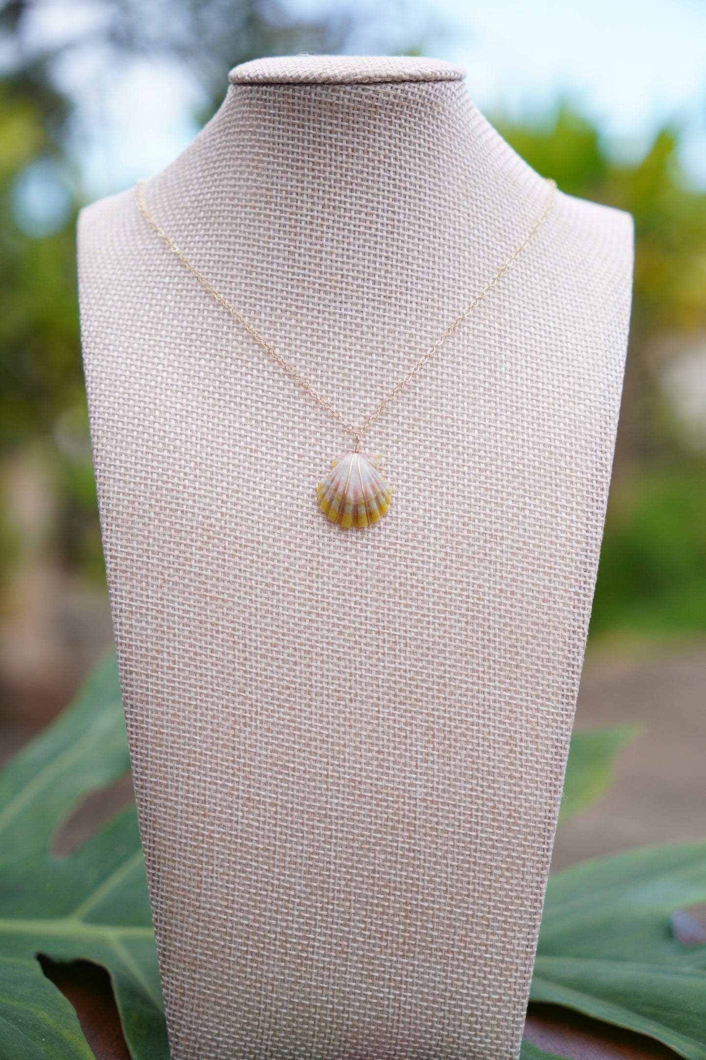 Simple Sunrise Shell Necklaces