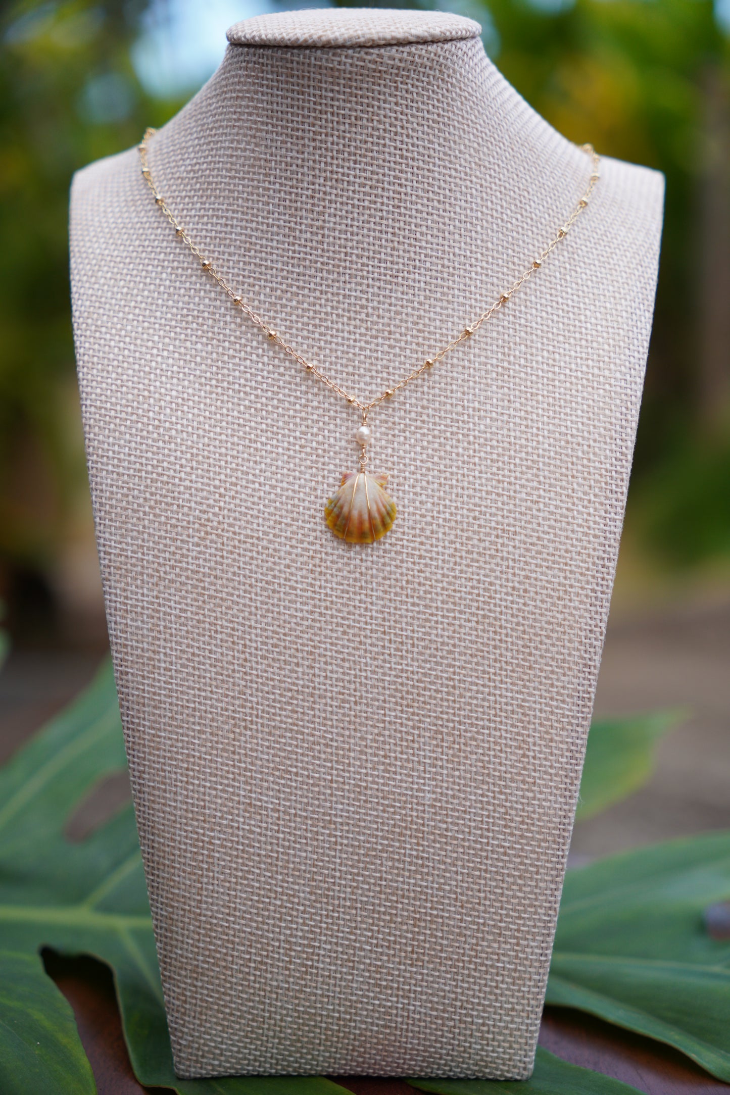 Simple Sunrise Shell Necklaces