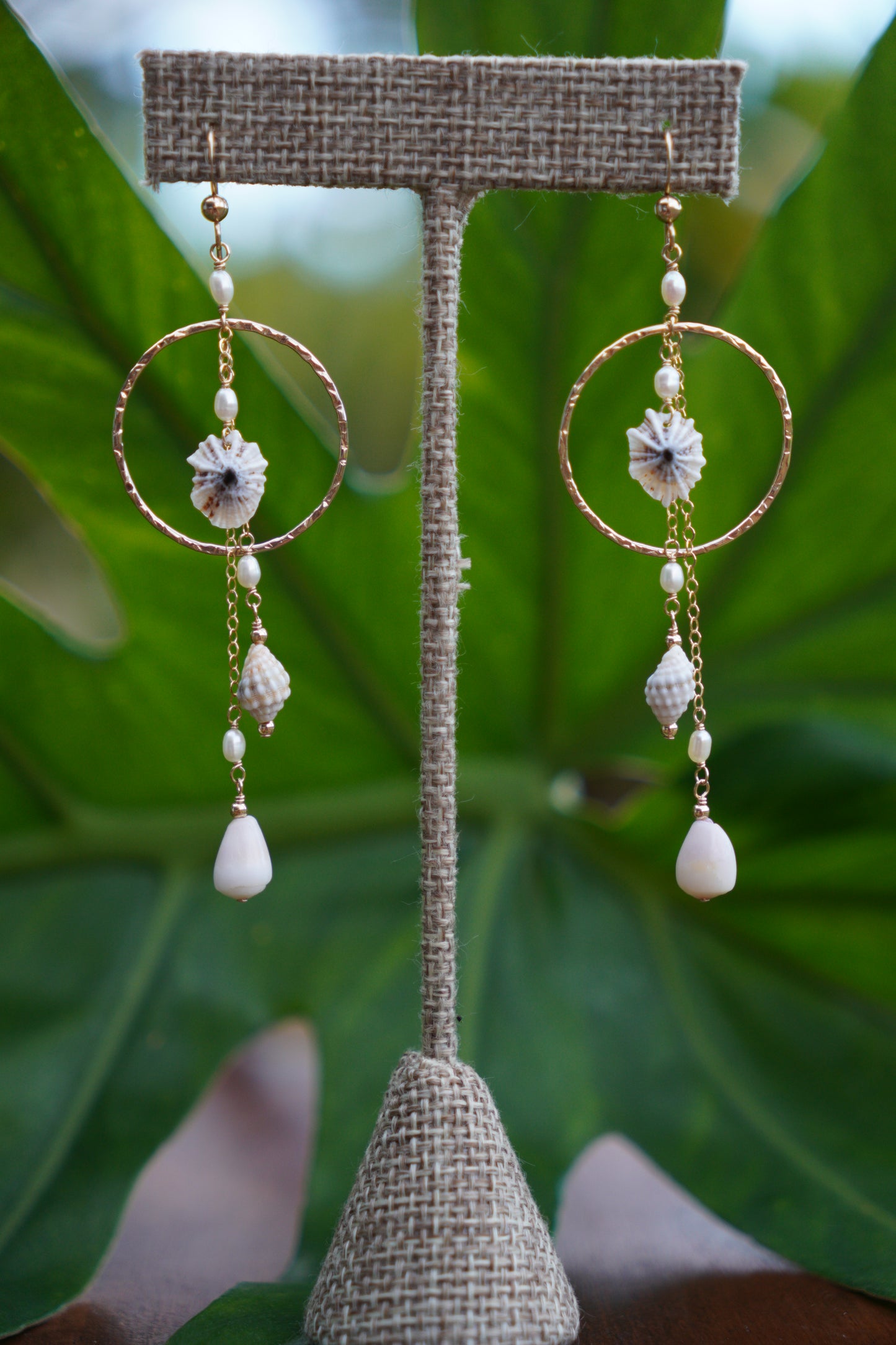 Reef Earrings