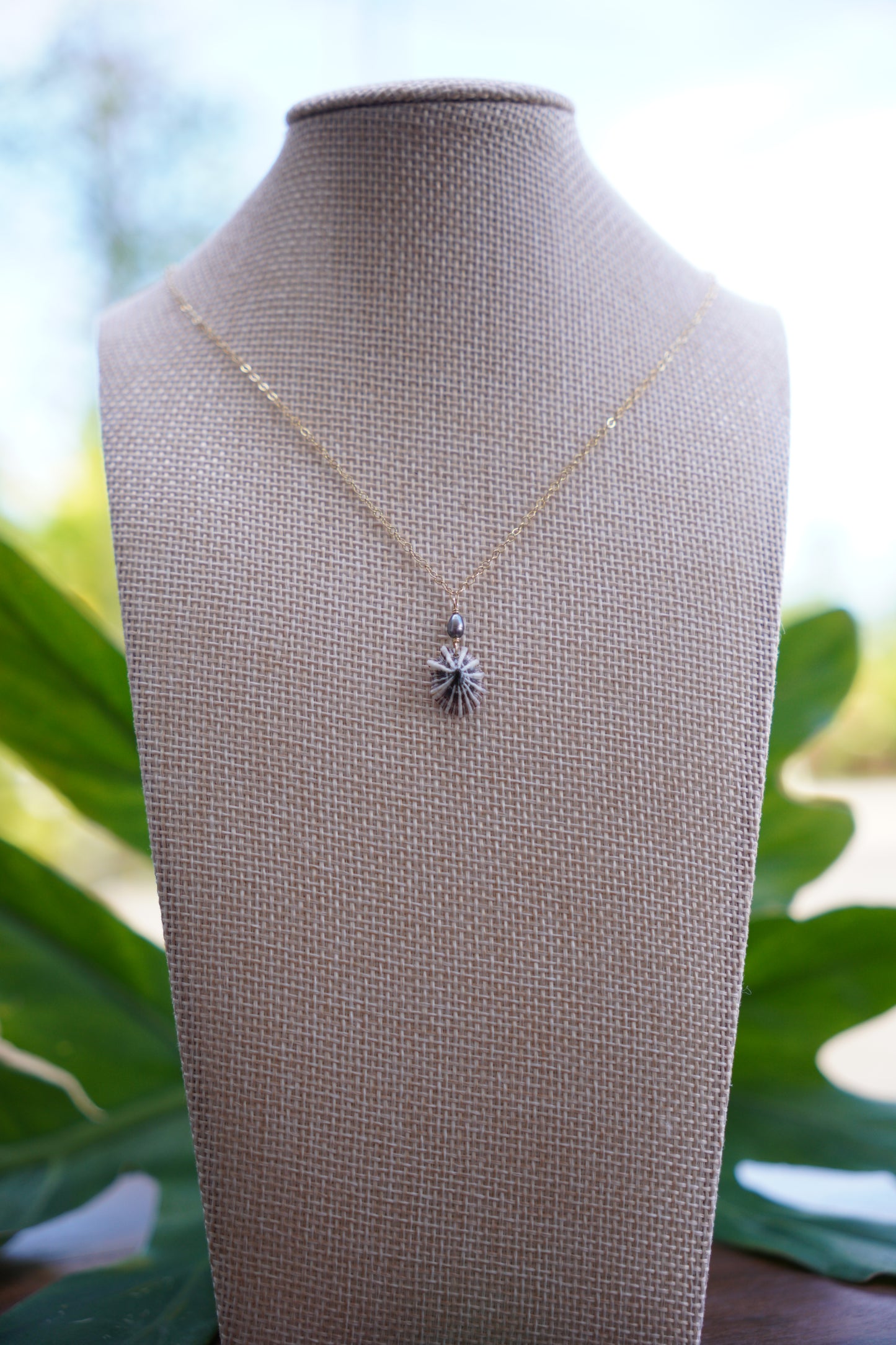 Simple `Opihi `awa Necklace