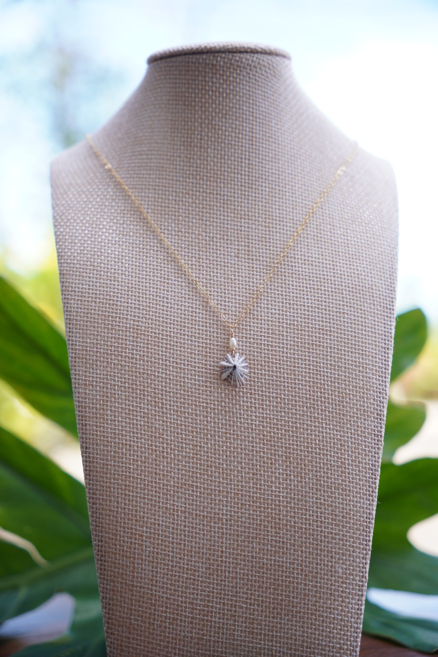 Simple `Opihi `awa Necklace