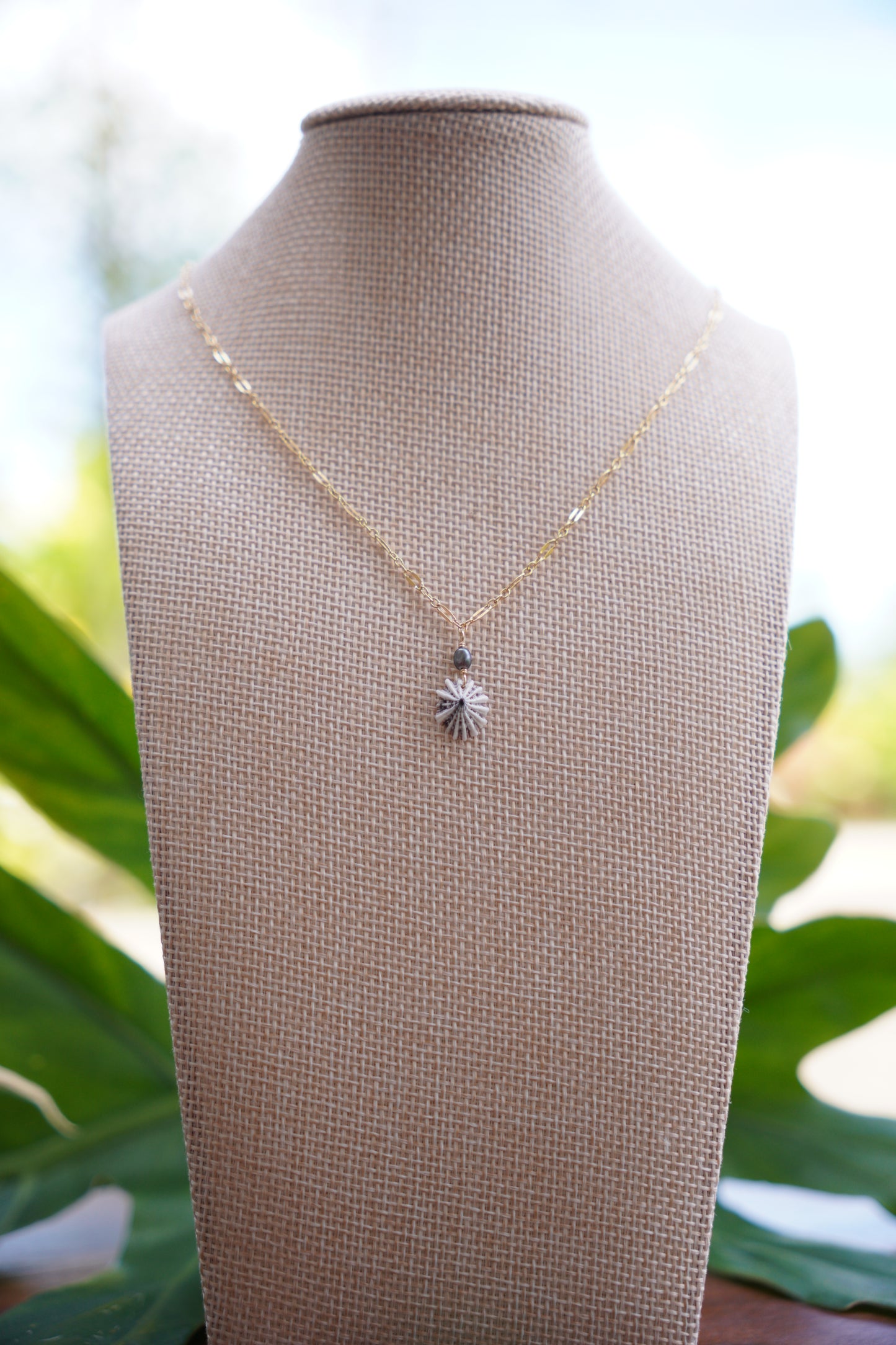 Simple `Opihi `awa Necklace
