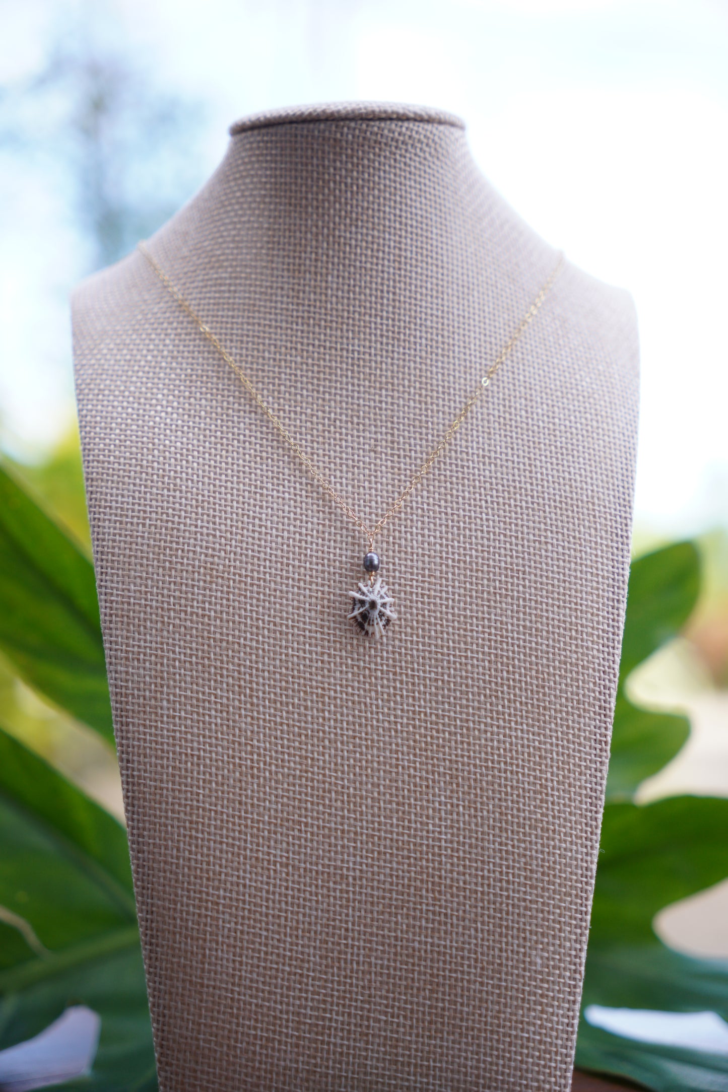 Simple `Opihi `awa Necklace