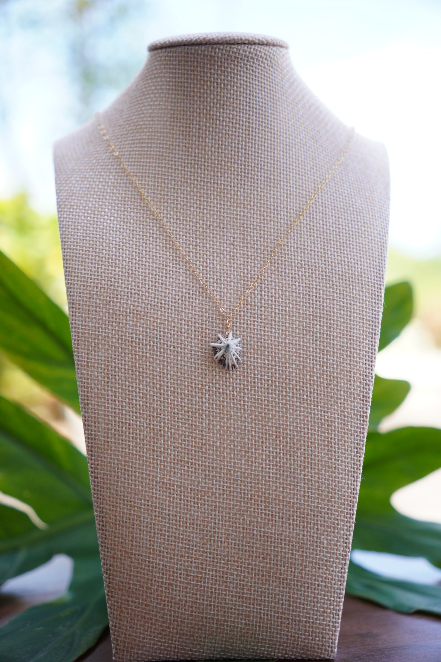 OG `Opihi `awa Necklace