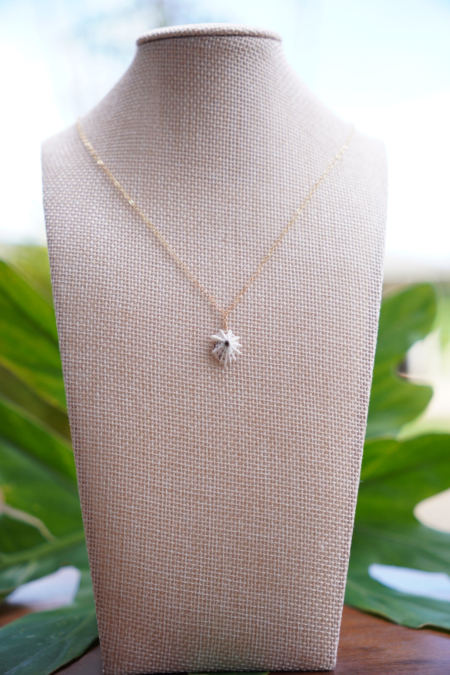 OG `Opihi `awa Necklace