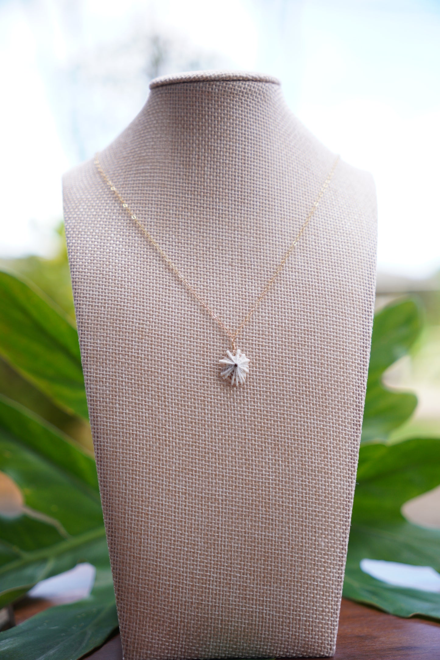 OG `Opihi `awa Necklace