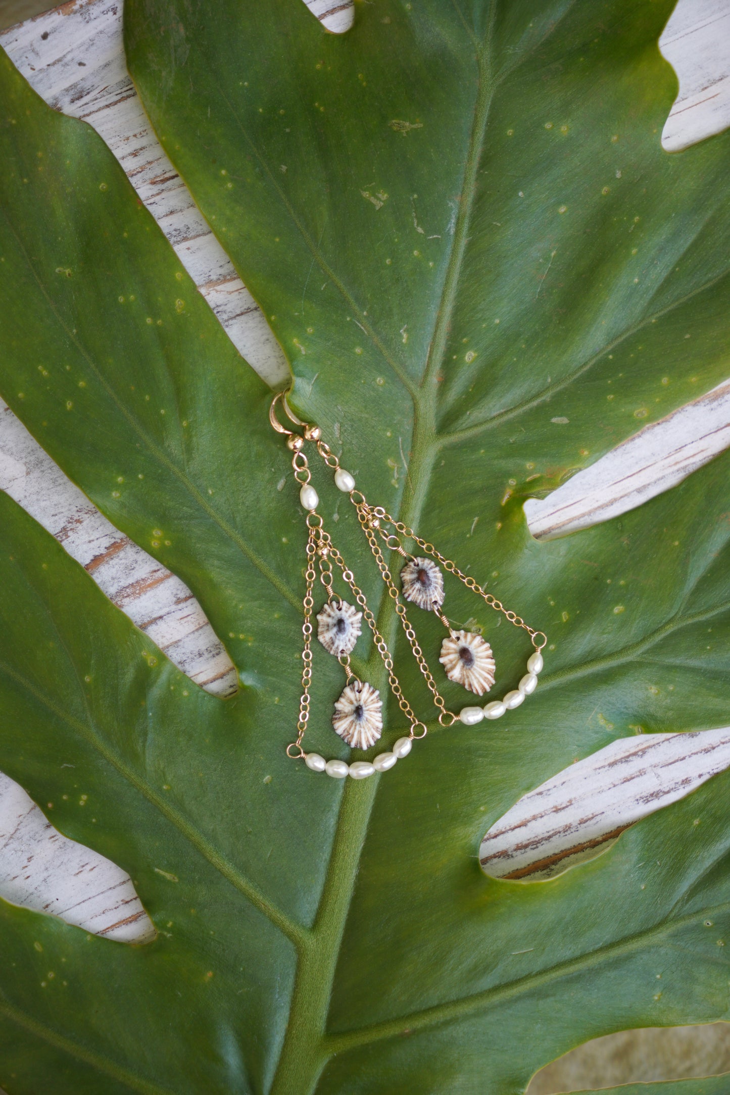 Pearl Tide `Opihi `awa Earrings