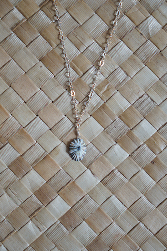 Lovely `Opihi `awa Necklace