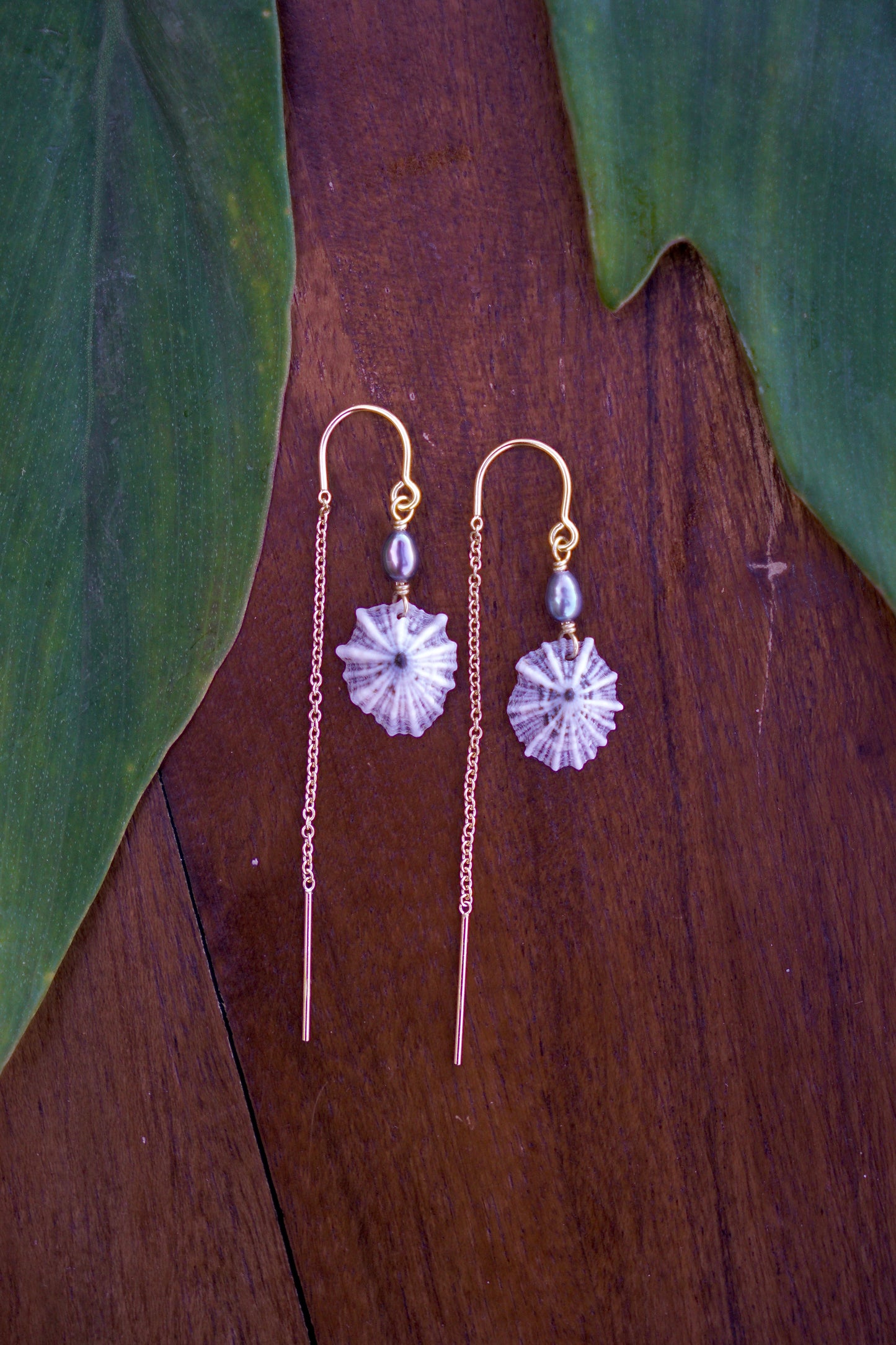 `Opihi `awa Threader Earrings